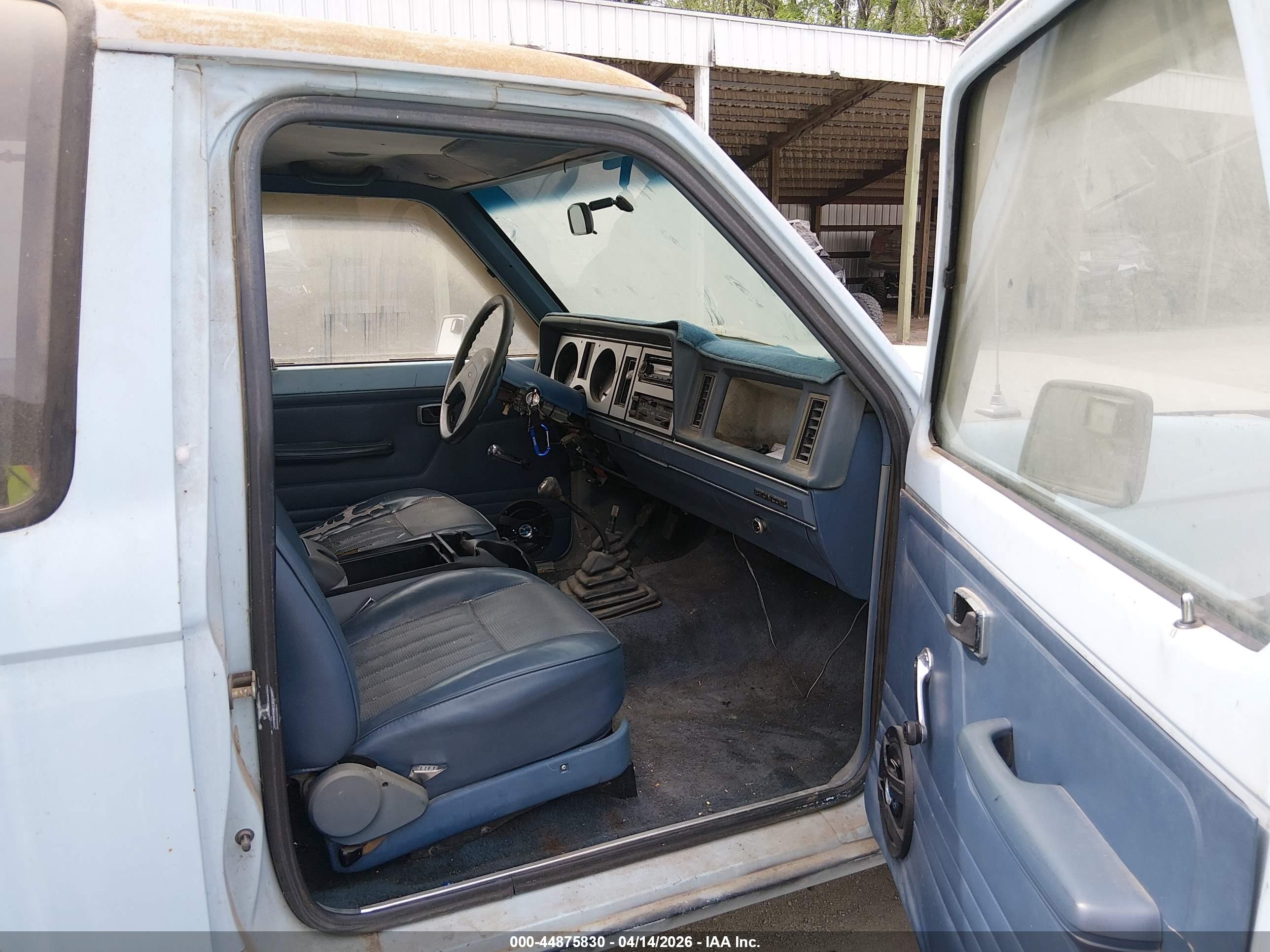FORD BRONCO image 5