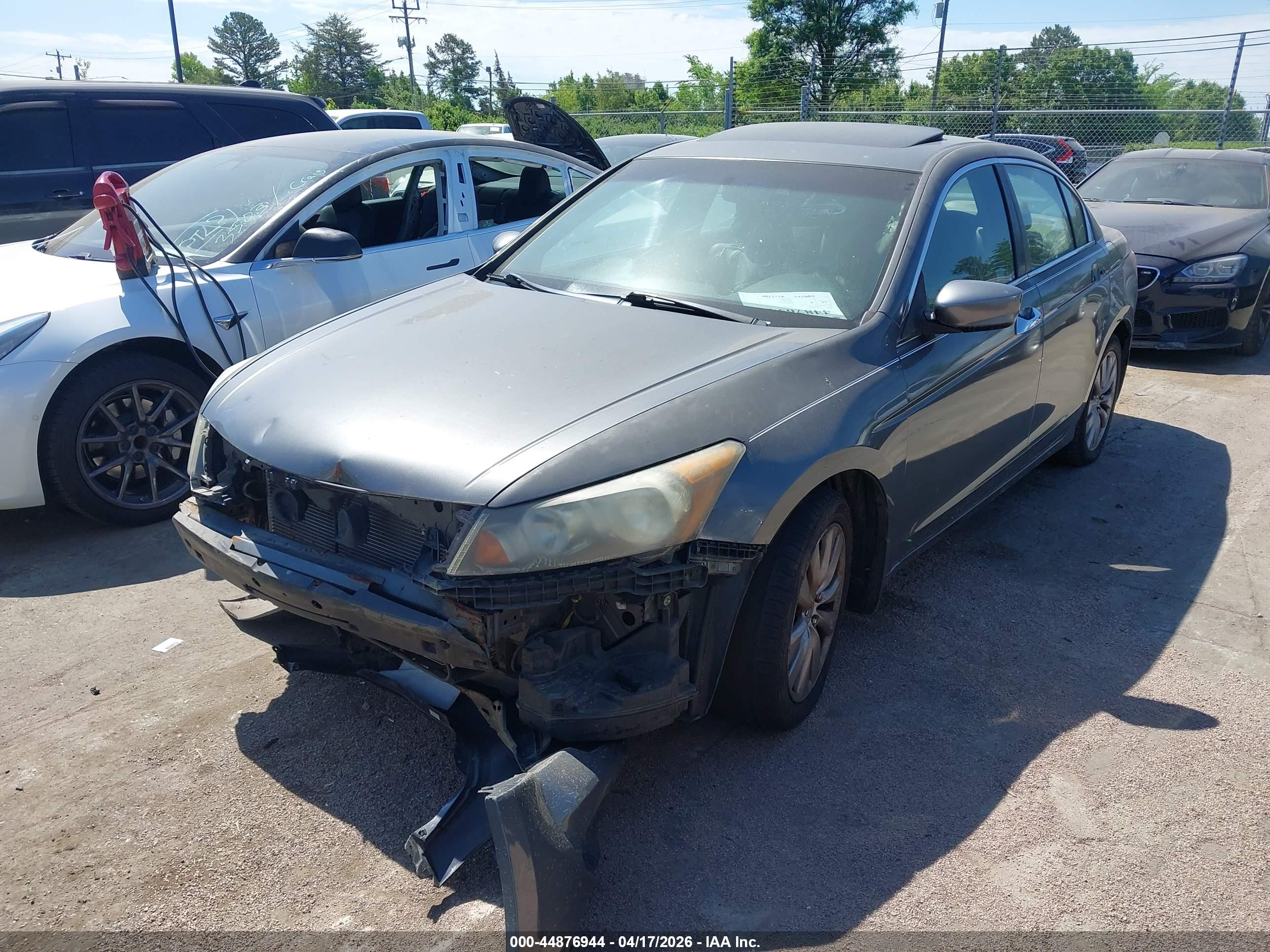 HONDA ACCORD image 2