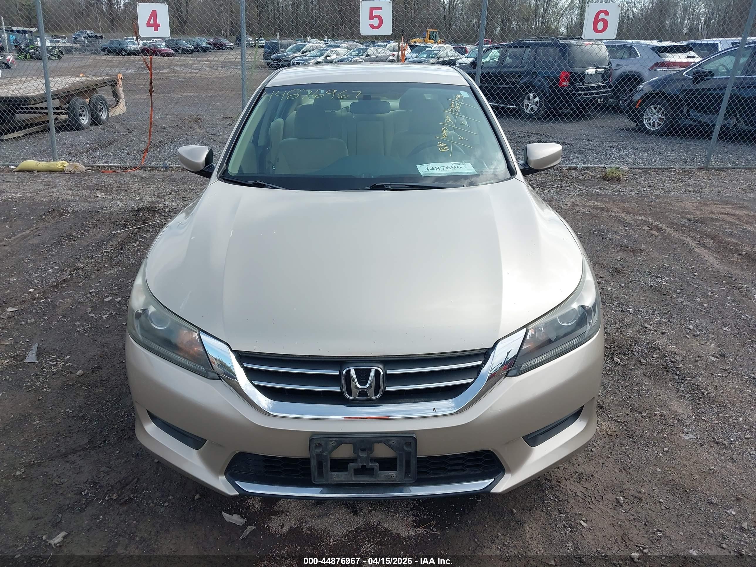 HONDA ACCORD image 6