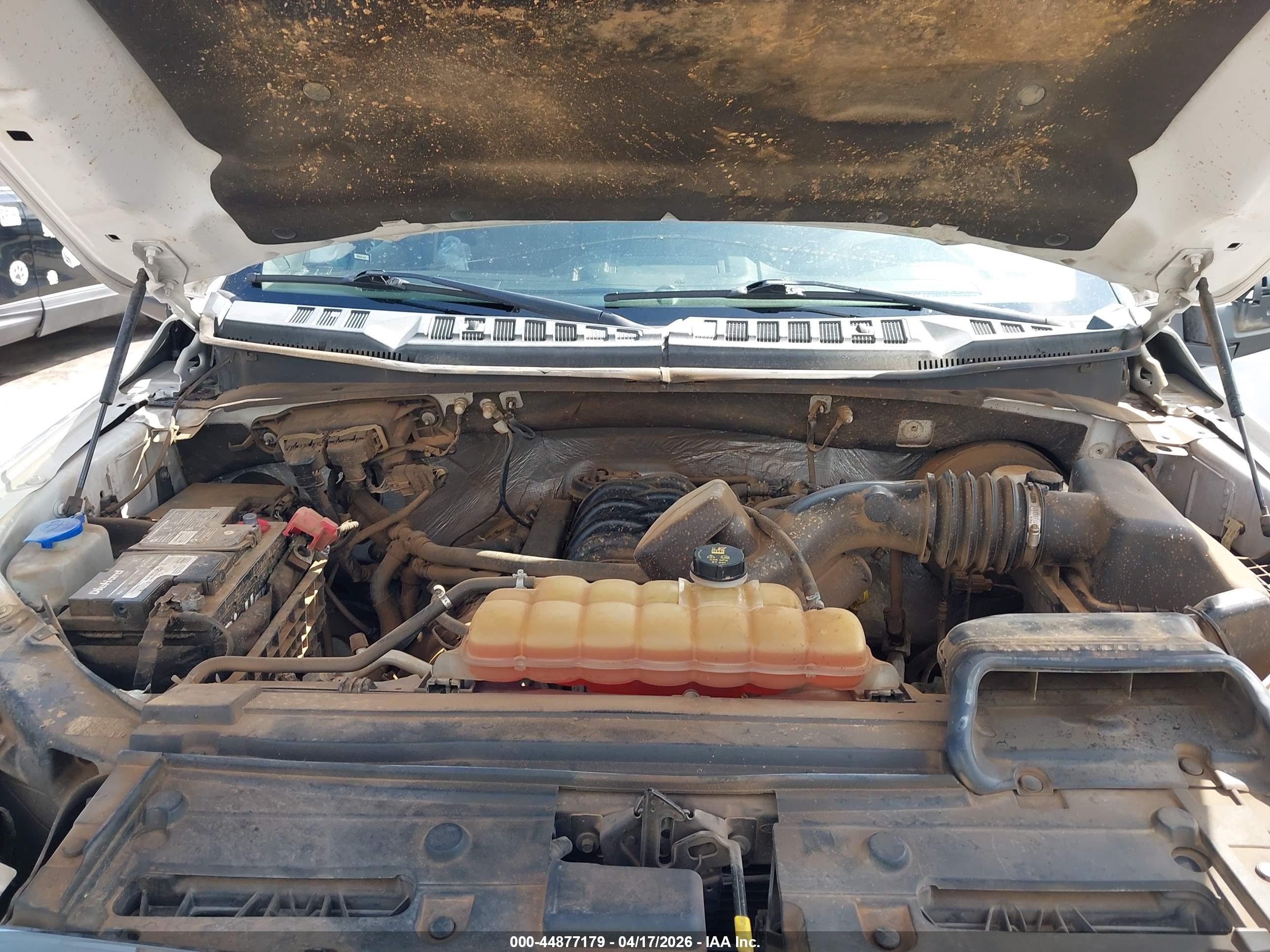 FORD F-150 image 10