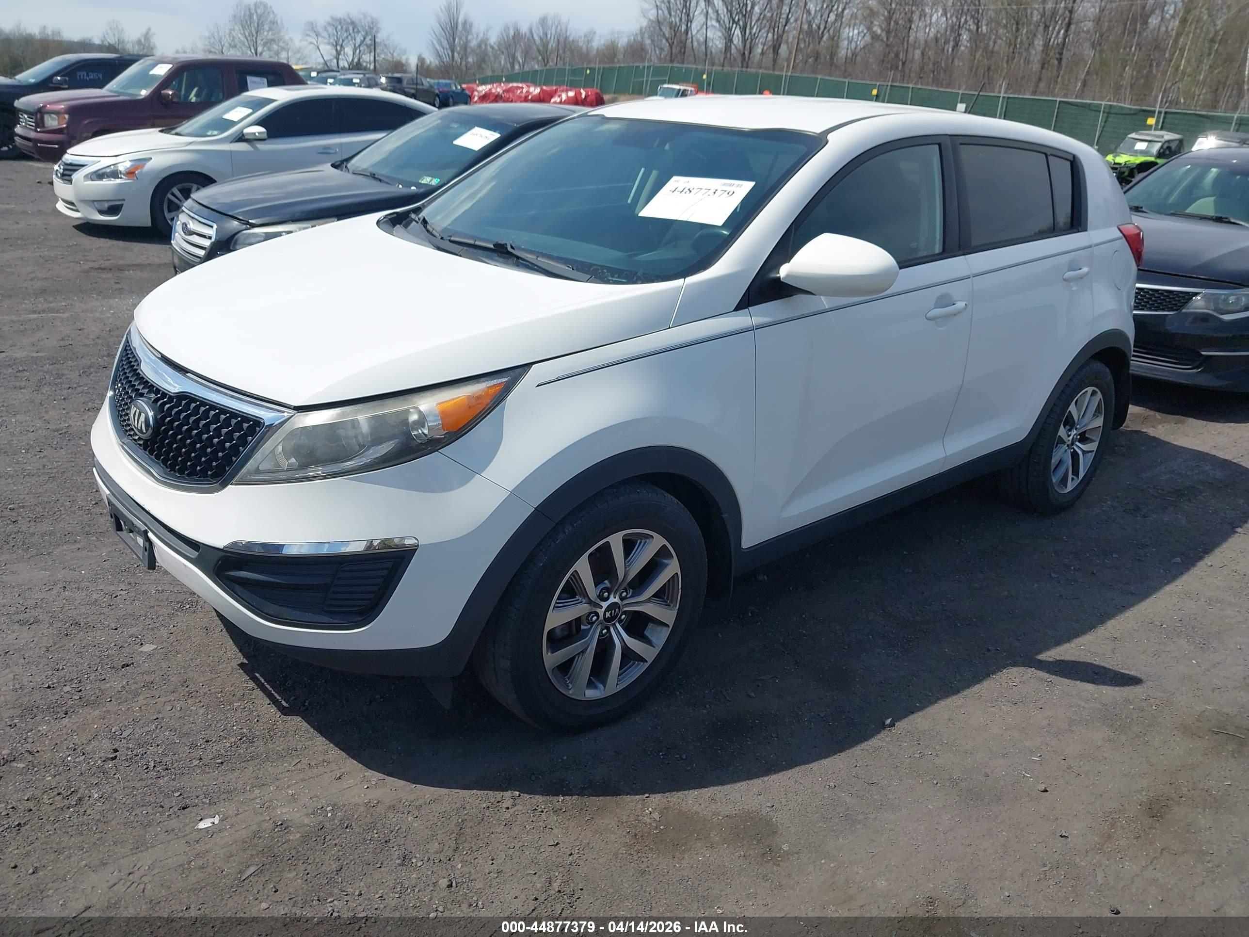 KIA SPORTAGE image 2