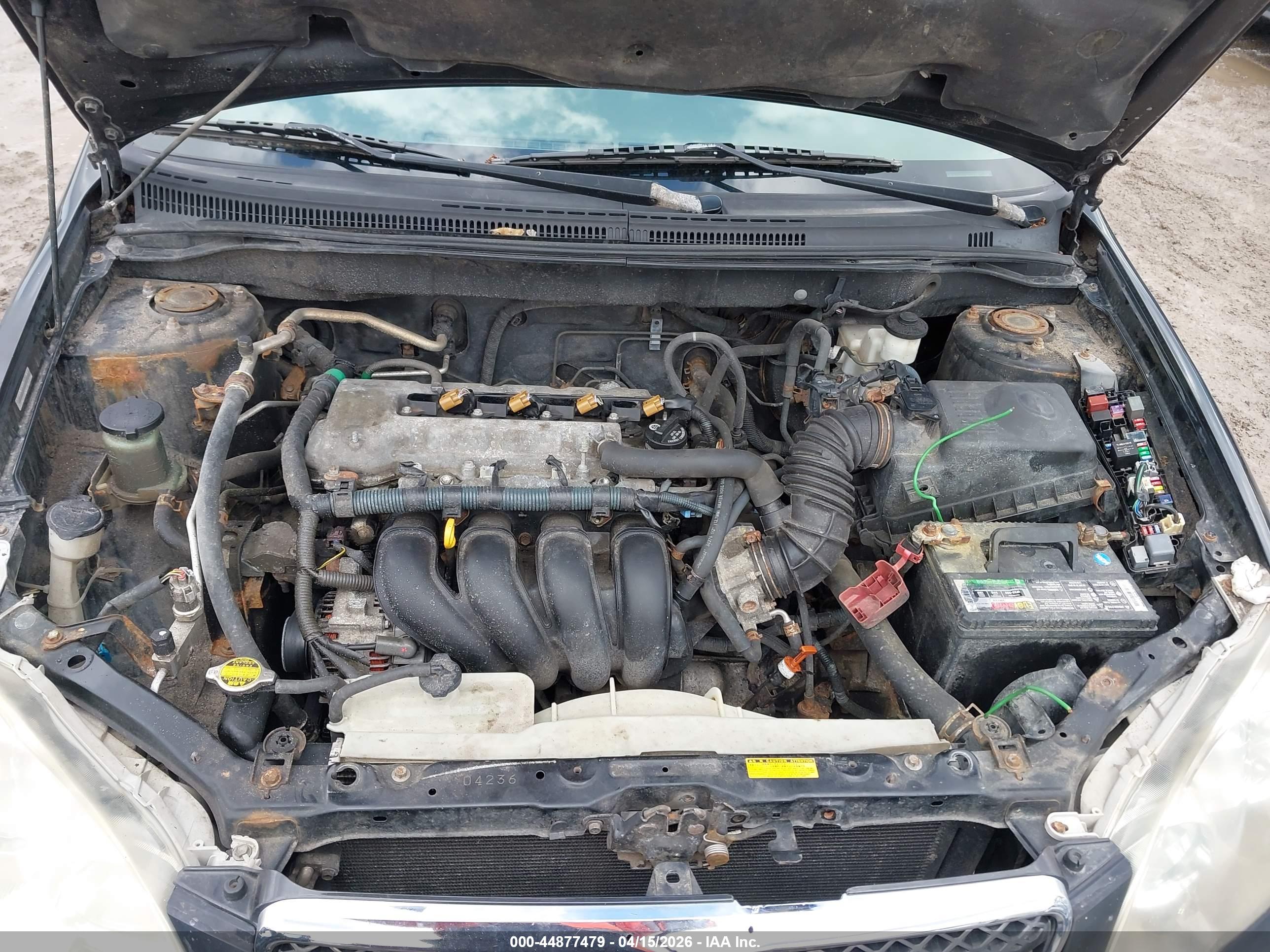 TOYOTA COROLLA image 10