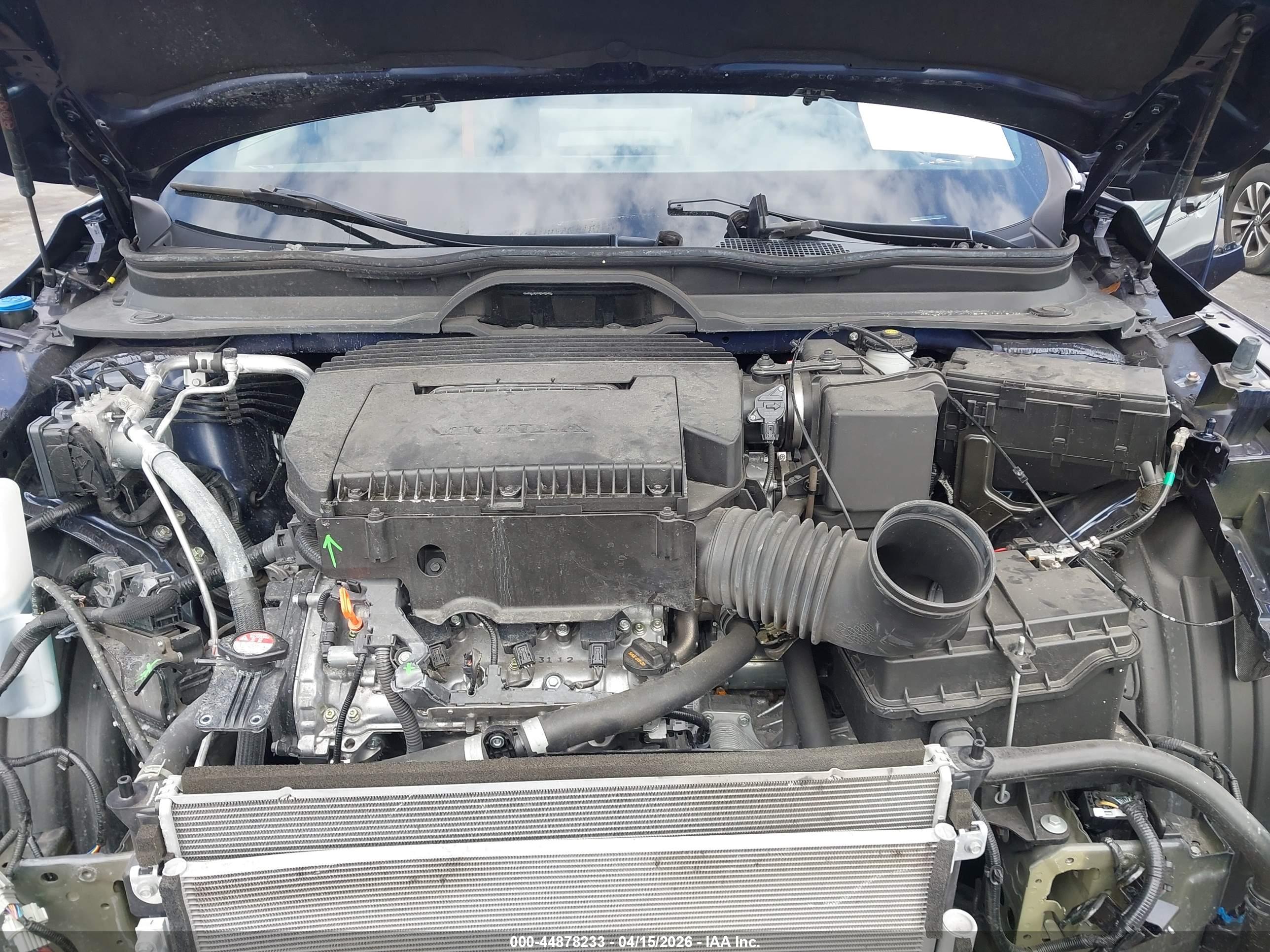 HONDA PASSPORT image 10