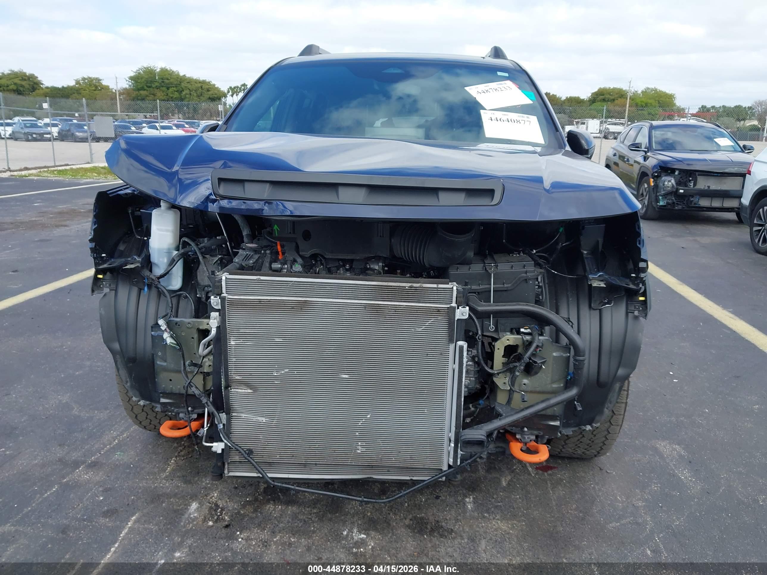 HONDA PASSPORT image 6
