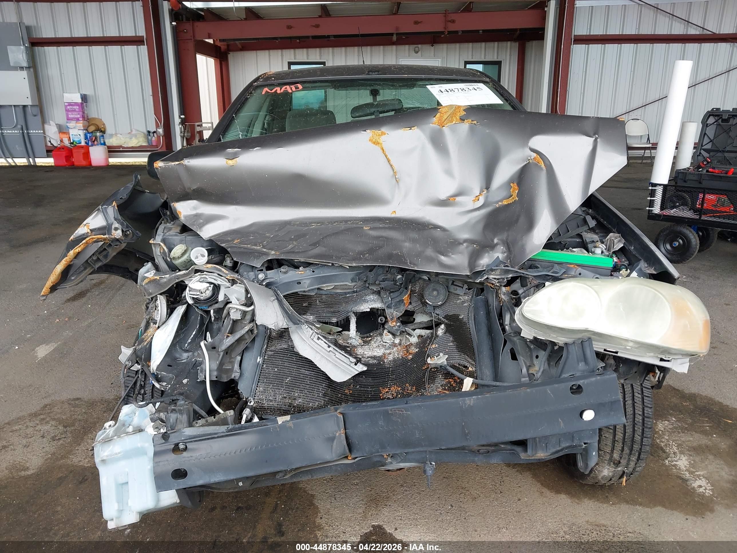 TOYOTA COROLLA image 6