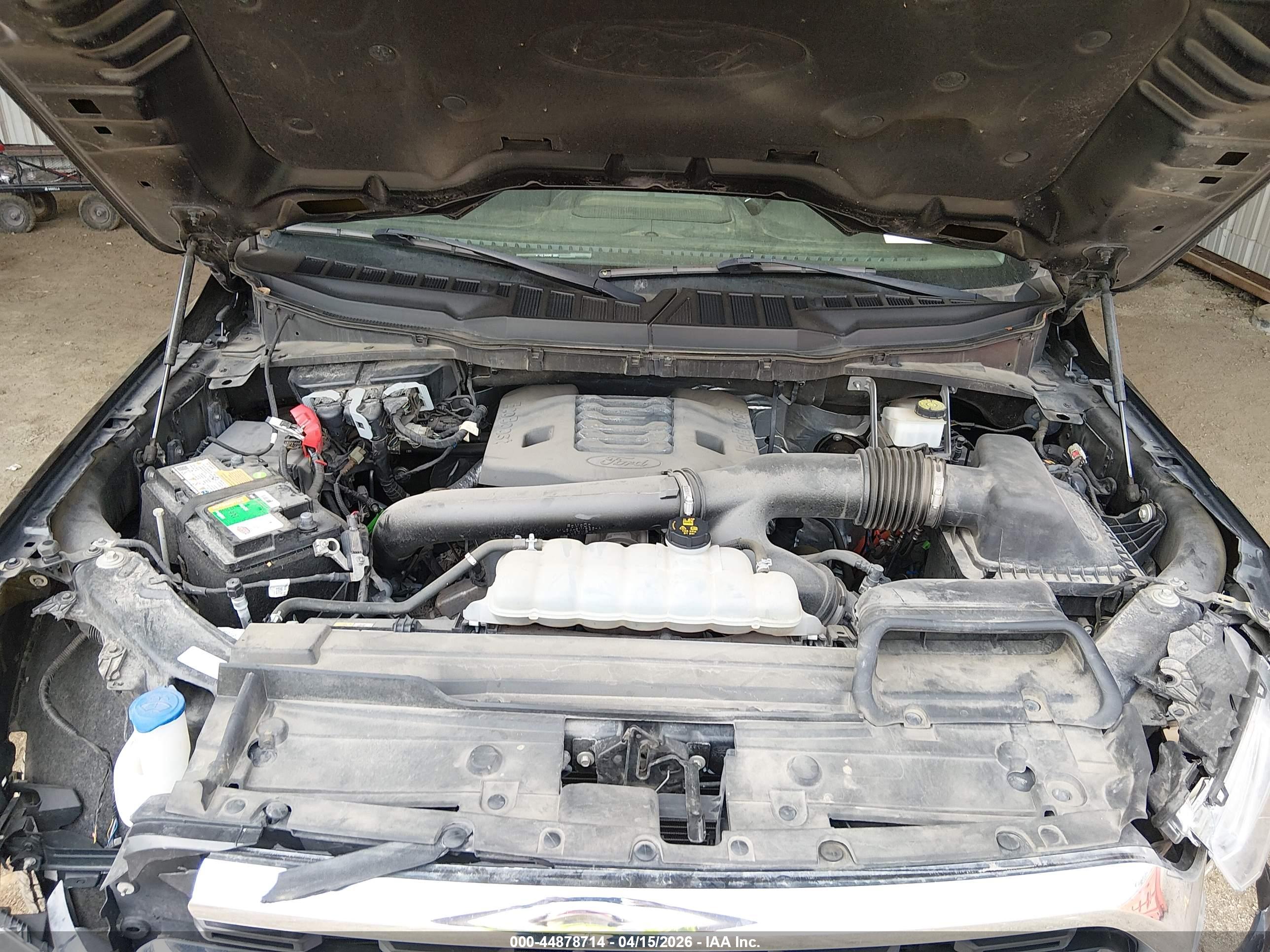 FORD F-150 image 10