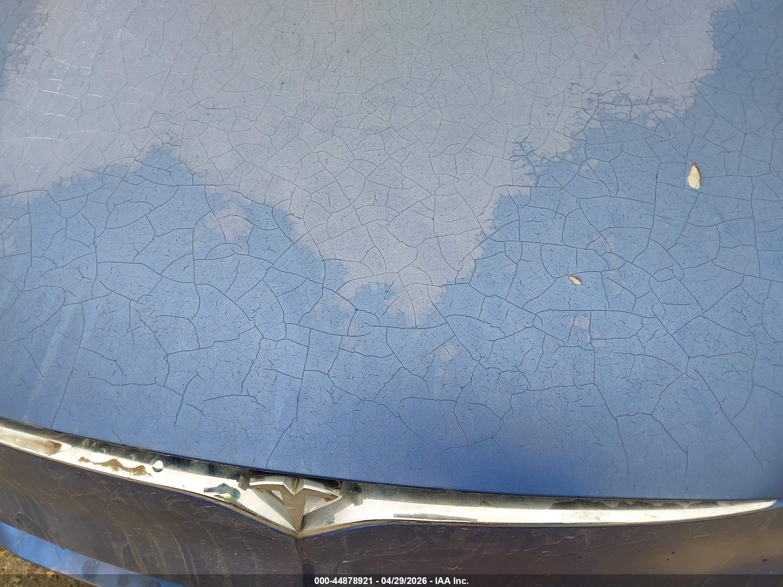 TESLA MODEL image 6