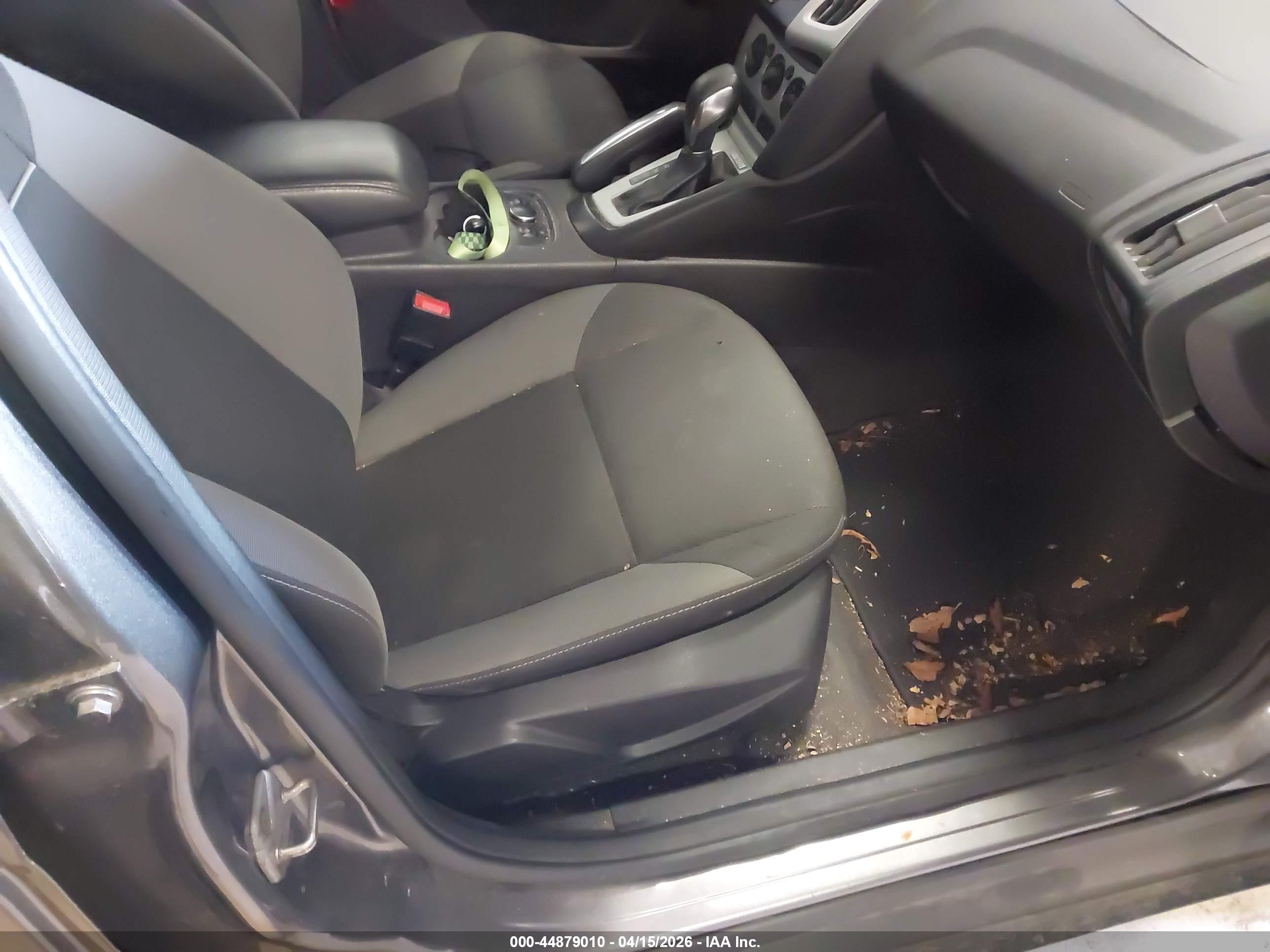 FORD FOCUS image 5