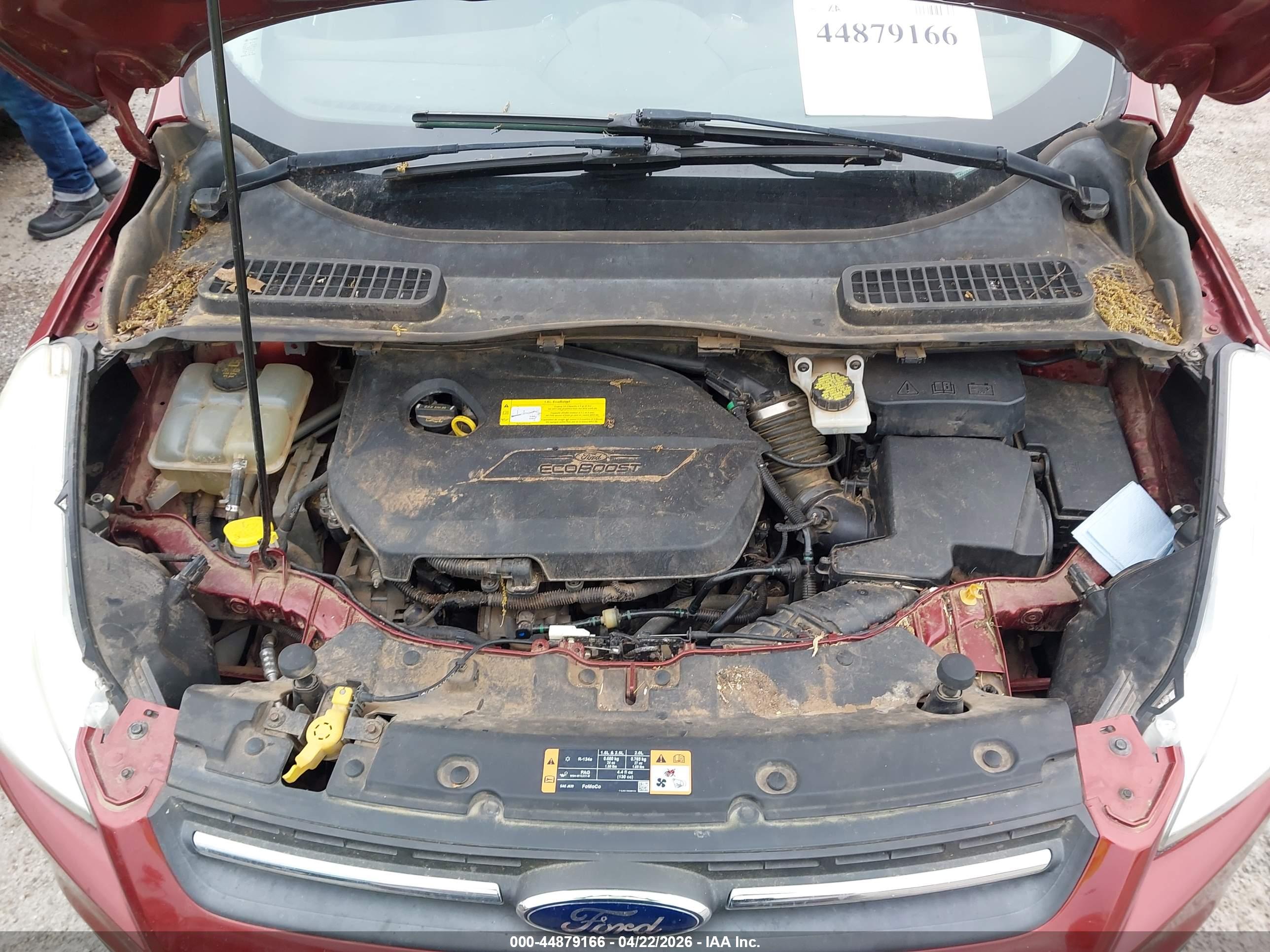 FORD ESCAPE image 10