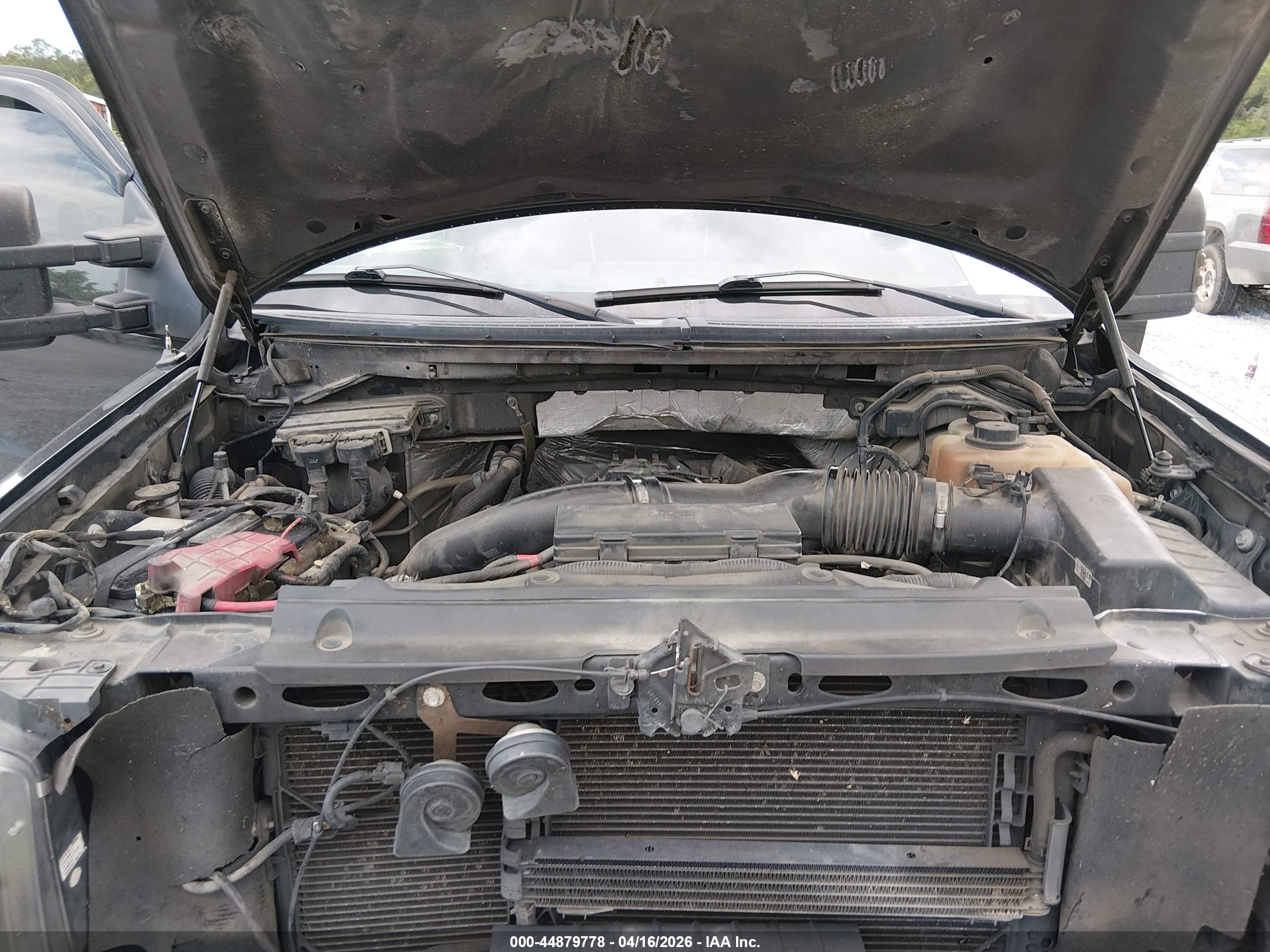 FORD F-150 image 10