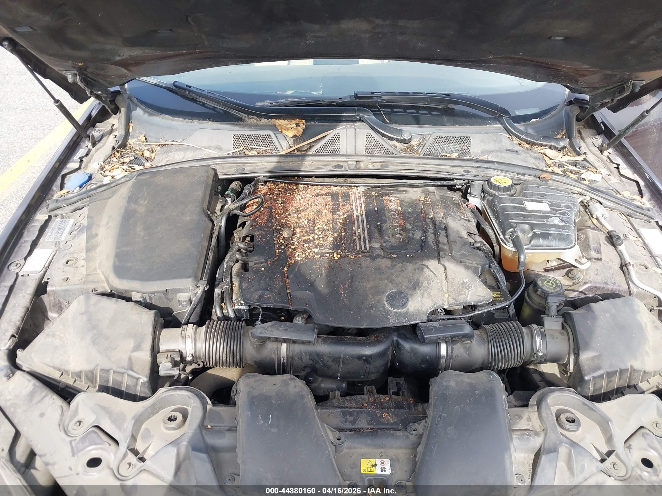 JAGUAR XF image 10