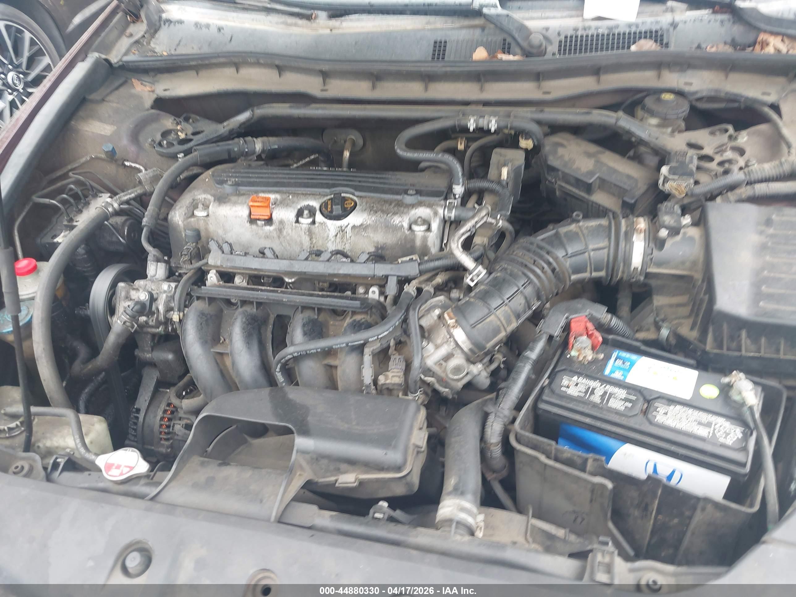 HONDA ACCORD image 10