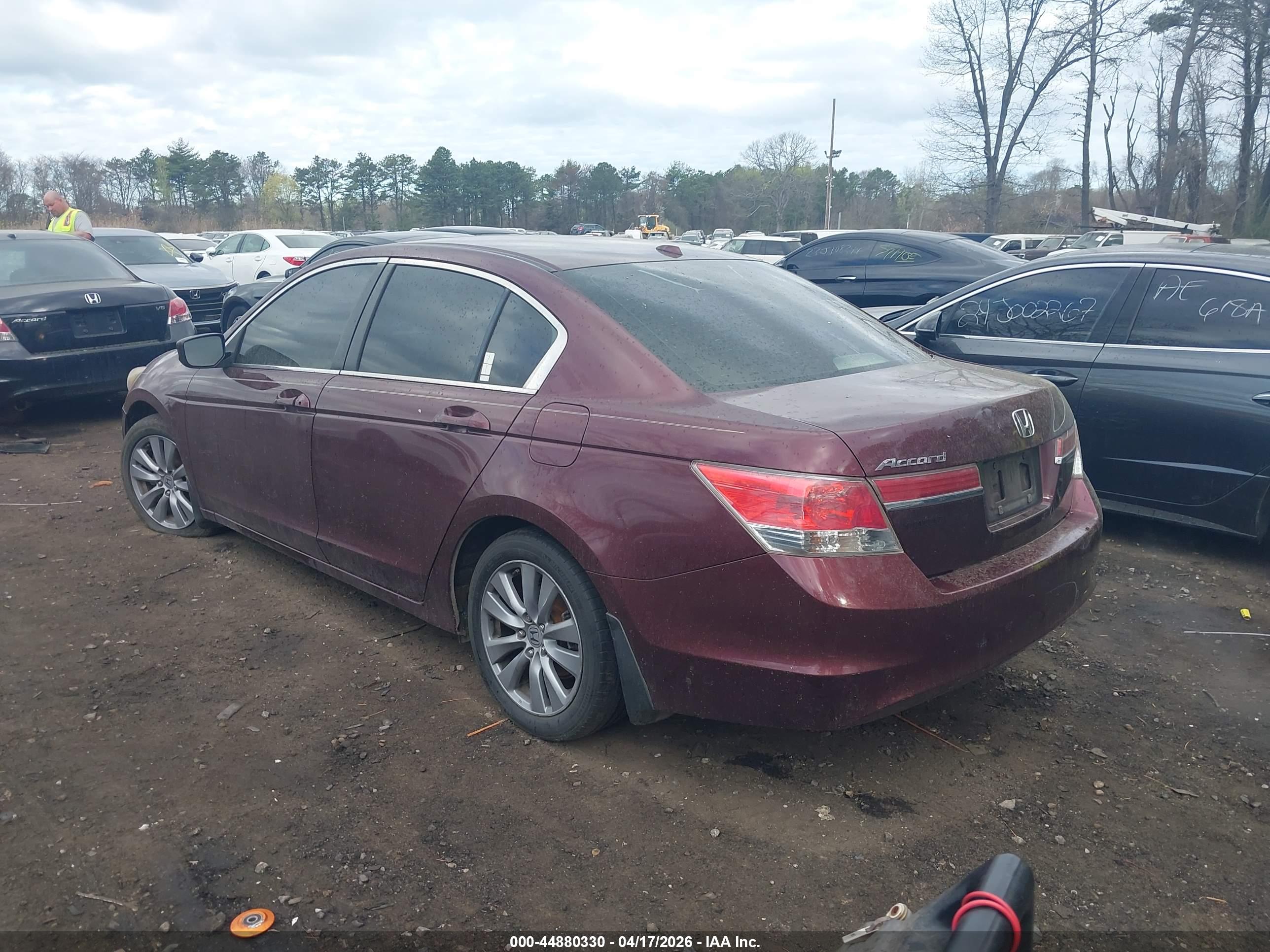 HONDA ACCORD image 3