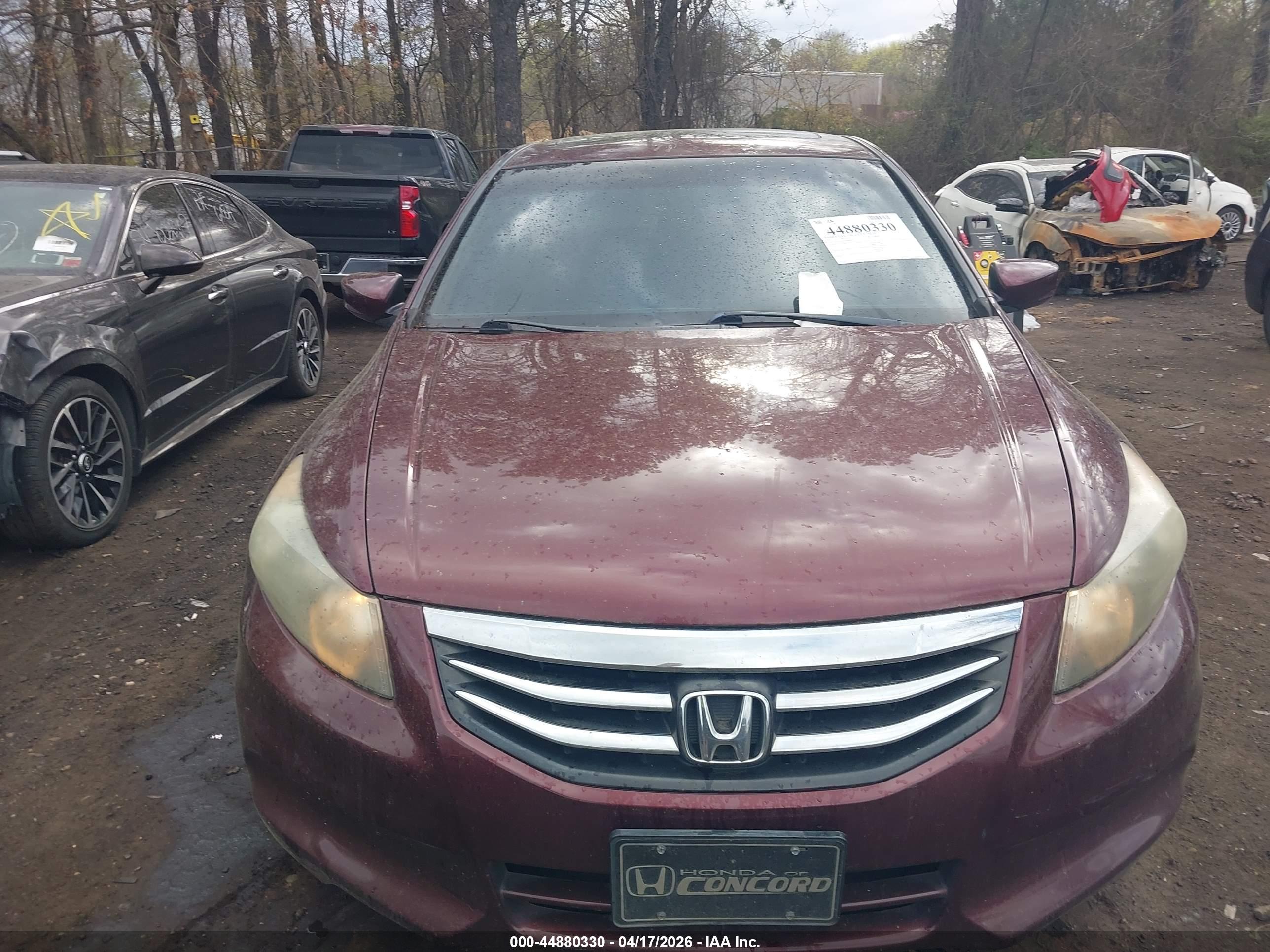 HONDA ACCORD image 6