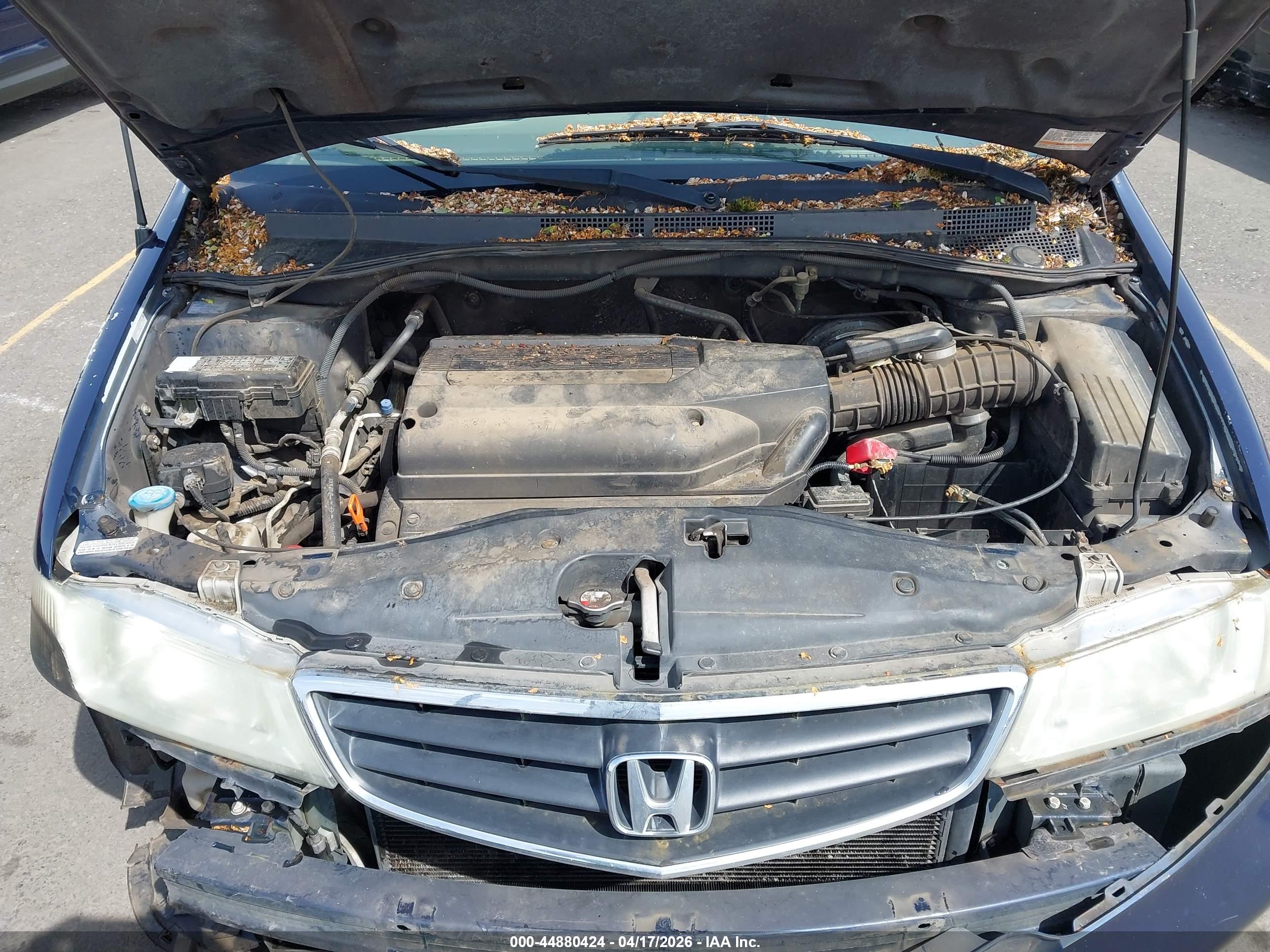 HONDA ODYSSEY image 10