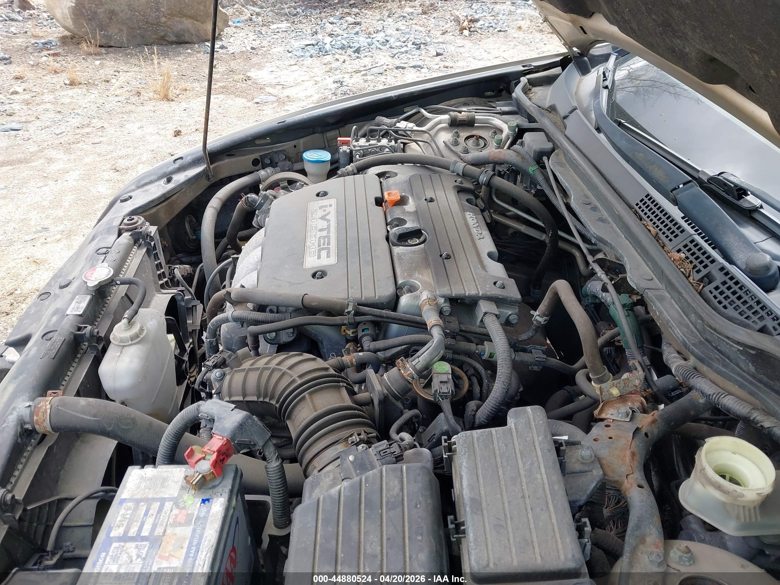 HONDA ACCORD image 10