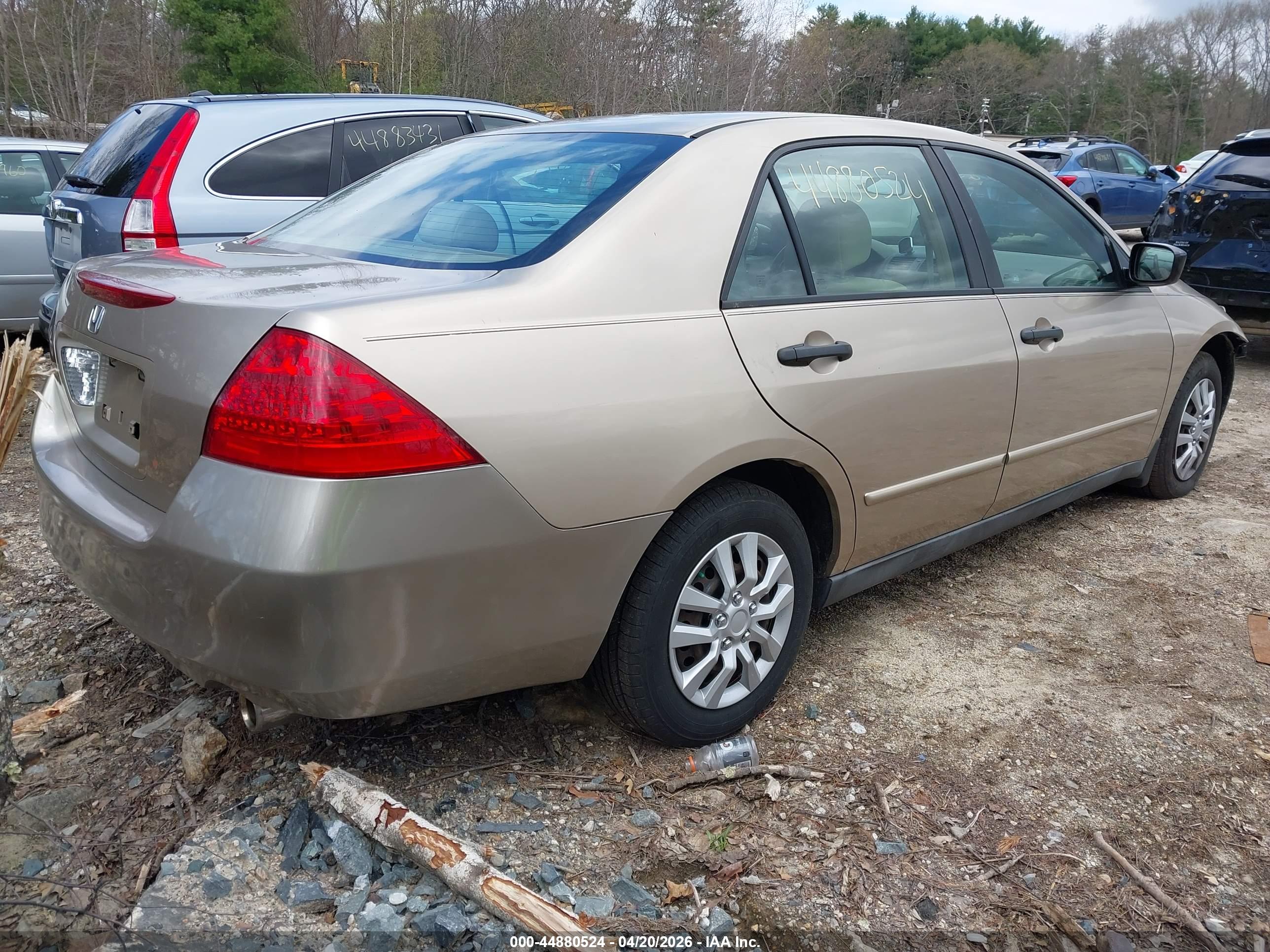 HONDA ACCORD image 4