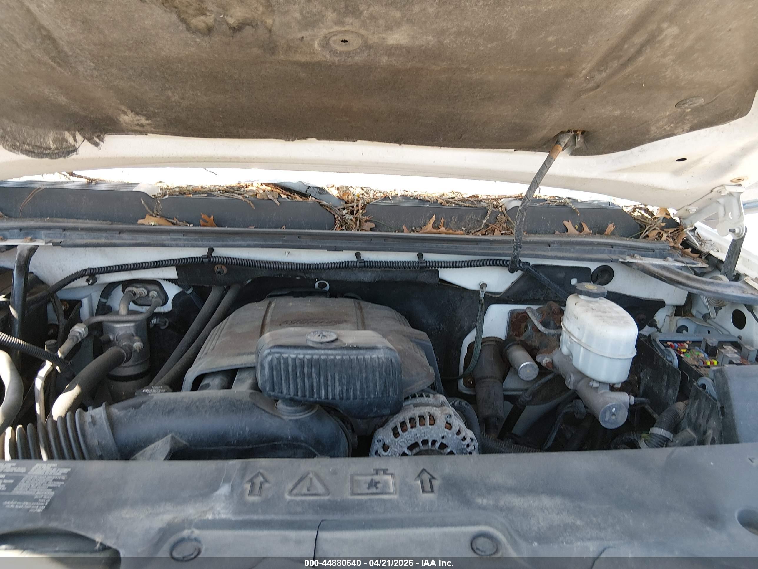 CHEVROLET SILVERADO image 10