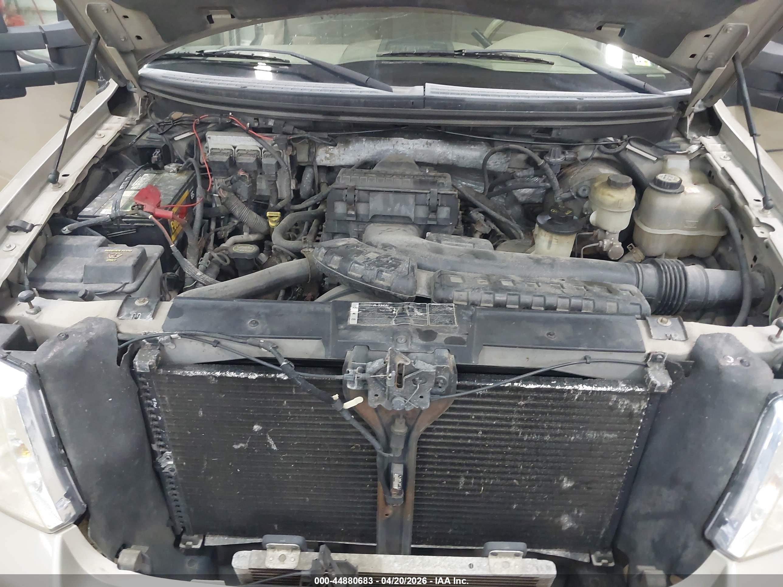 FORD F-150 image 10