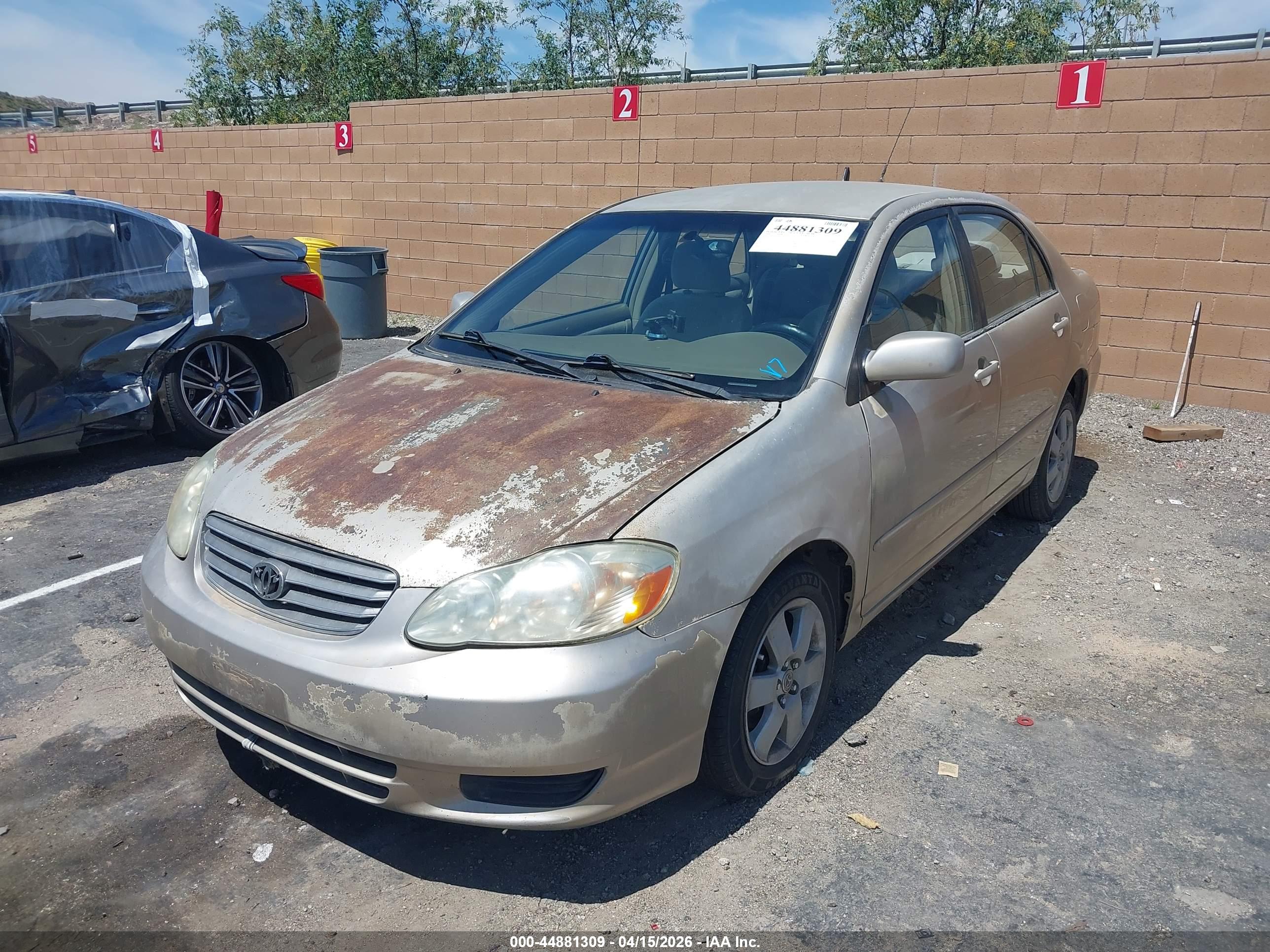 TOYOTA COROLLA image 2