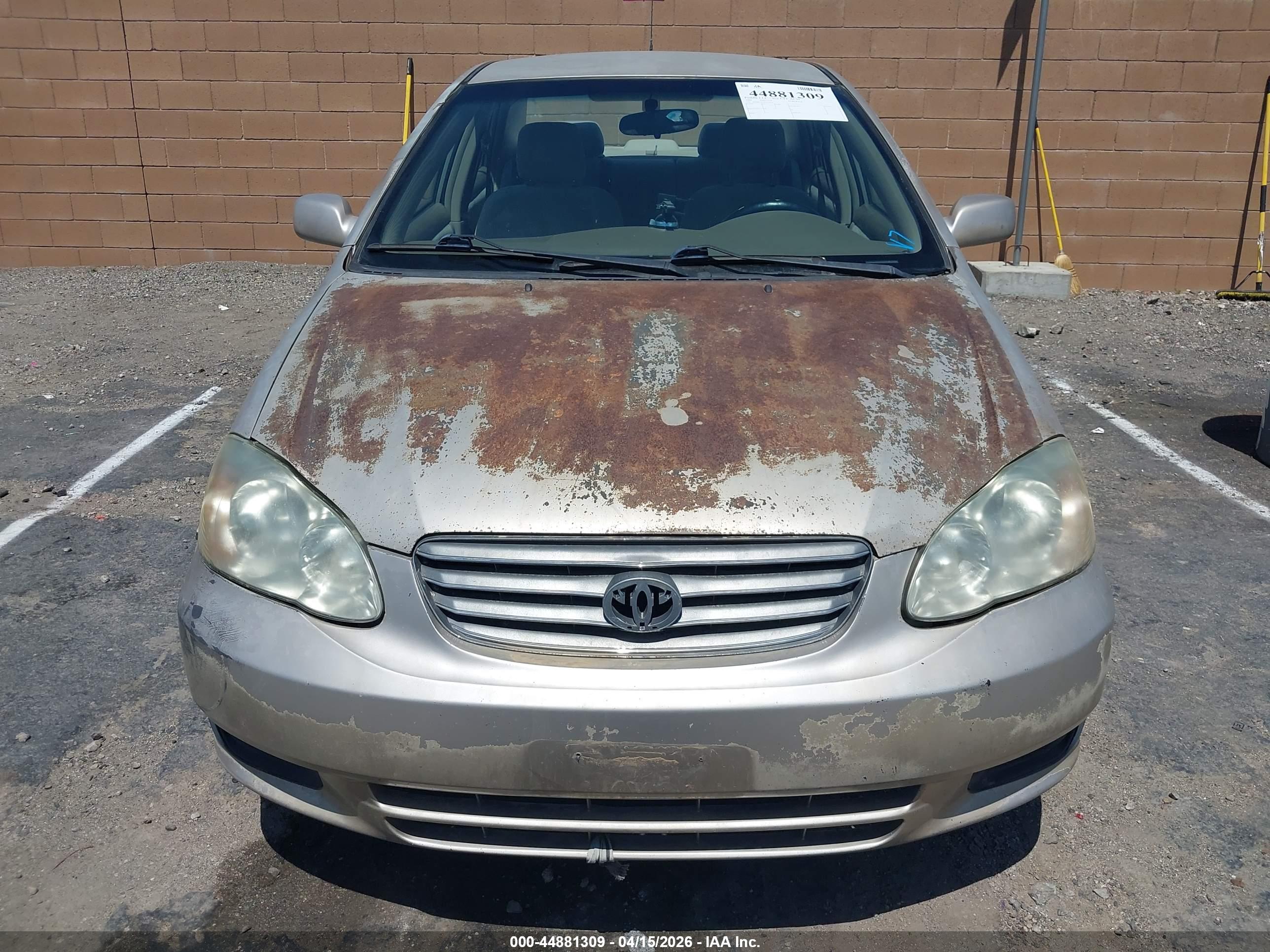 TOYOTA COROLLA image 6