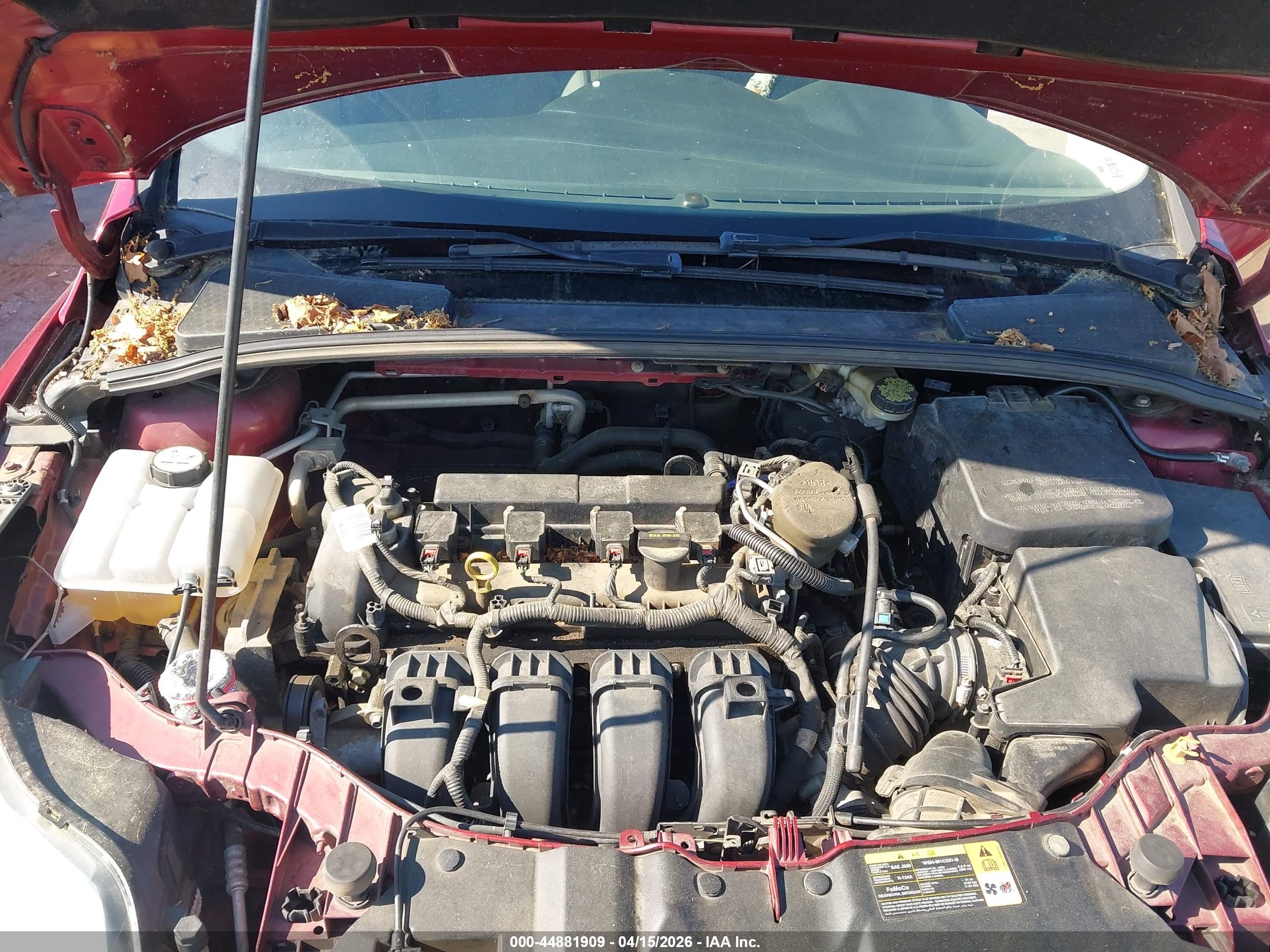 FORD FOCUS image 10