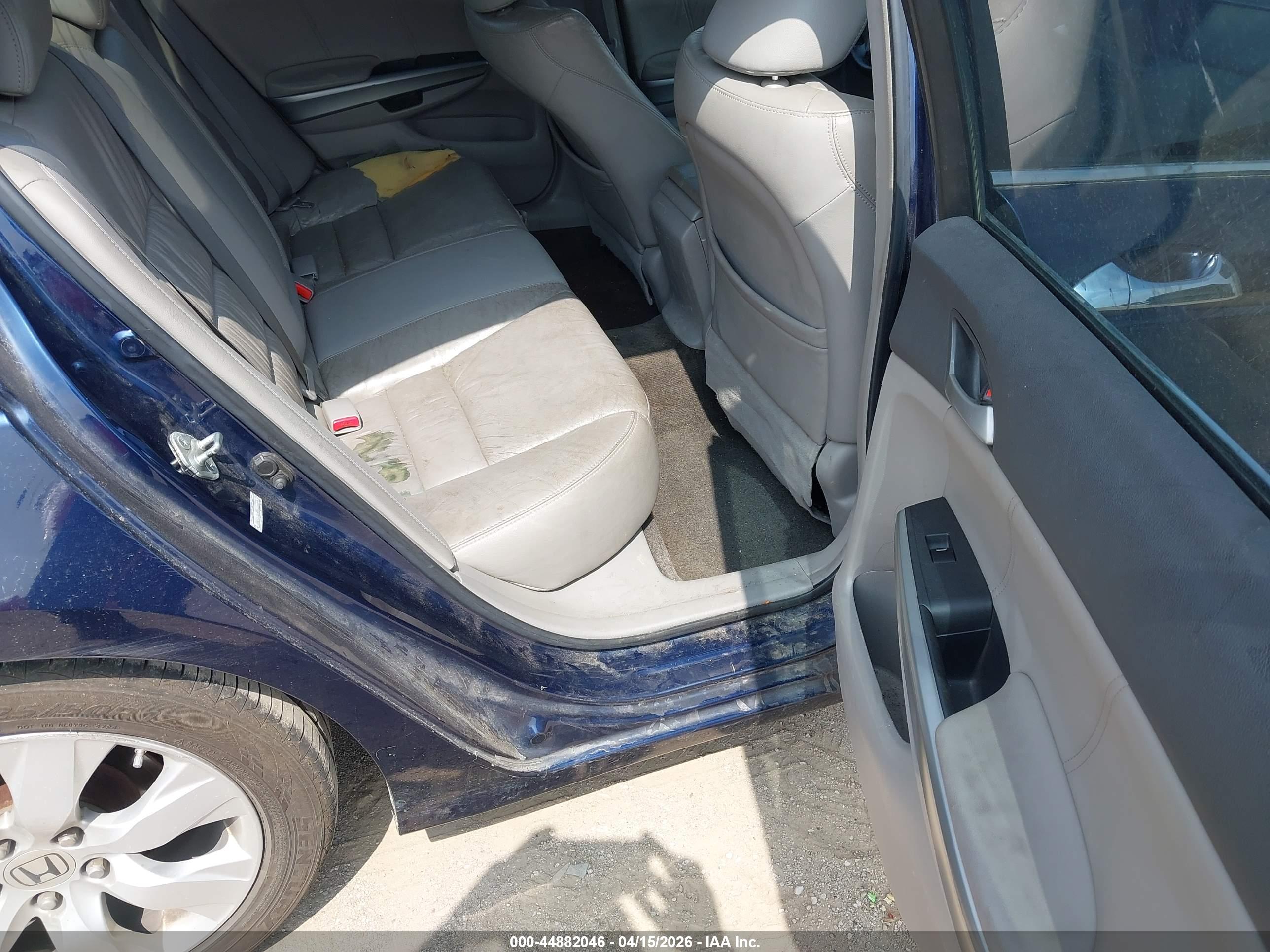 HONDA ACCORD image 8