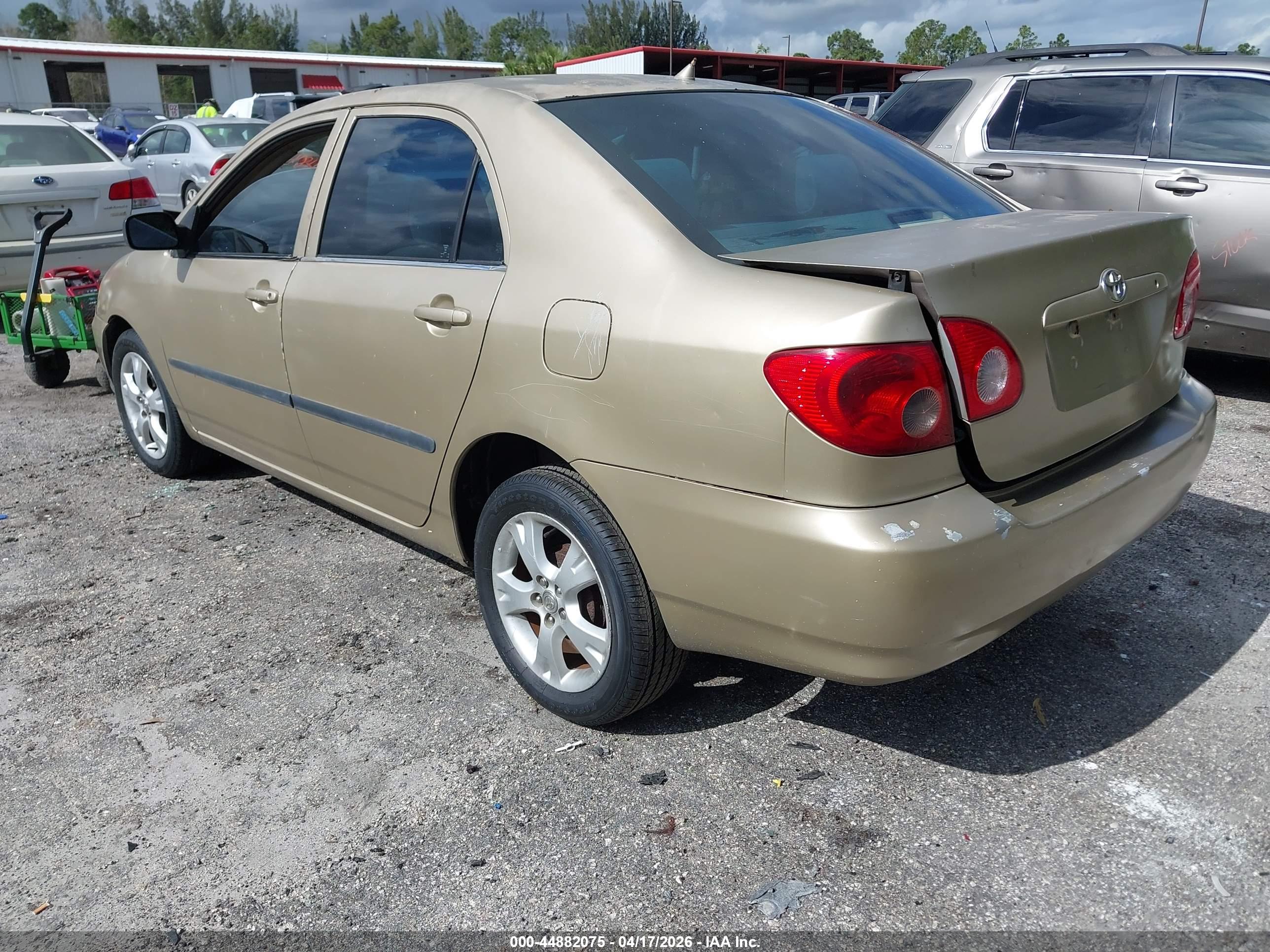TOYOTA COROLLA image 3