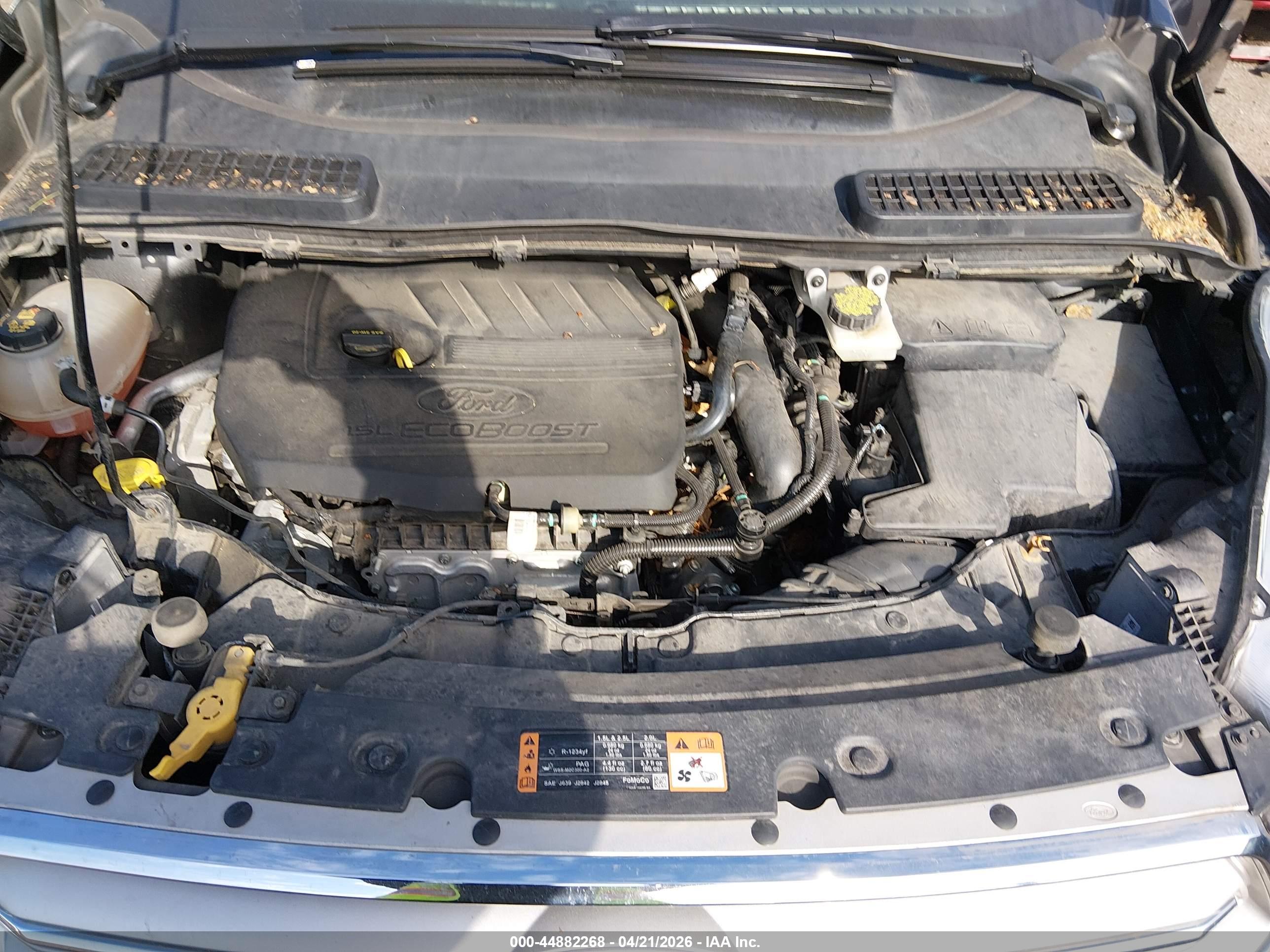 FORD ESCAPE image 10
