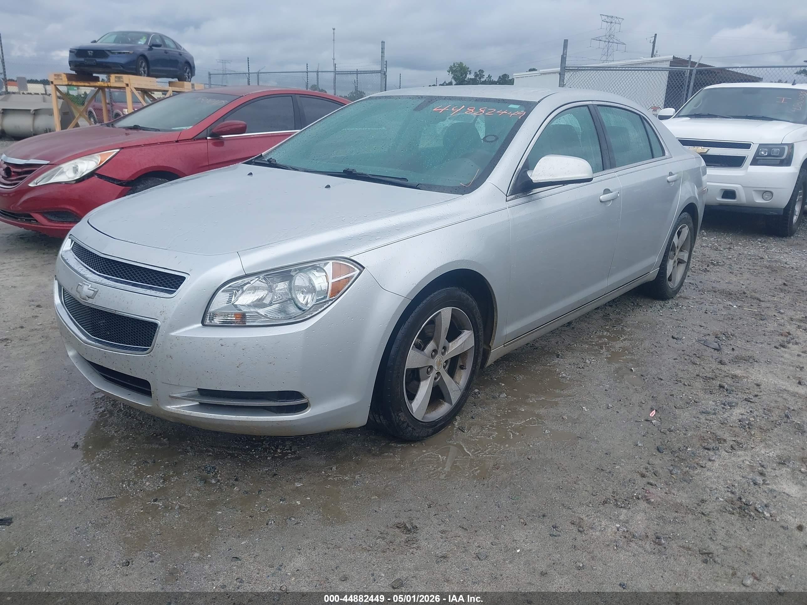 CHEVROLET MALIBU image 2