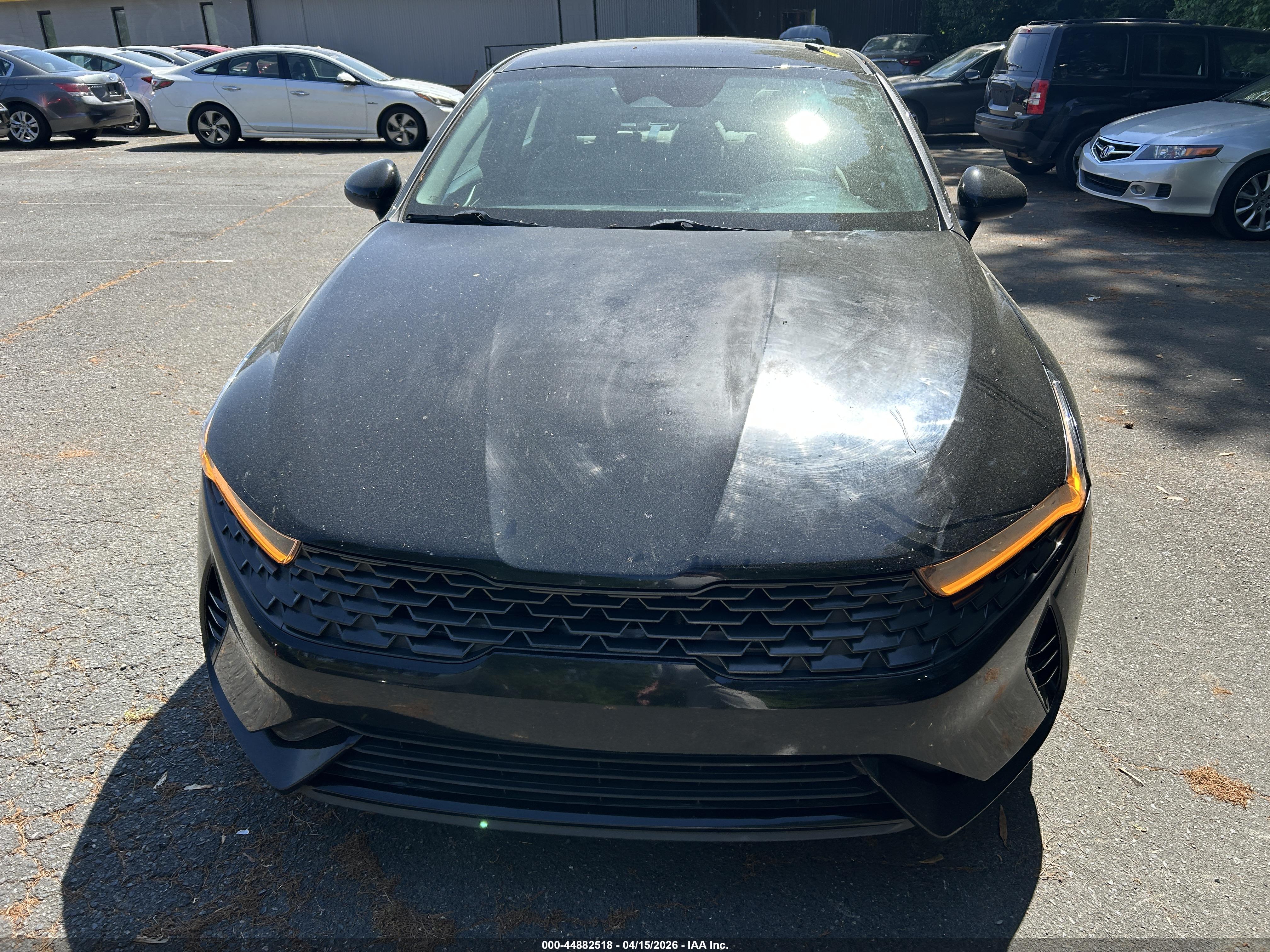 KIA K5 image 6