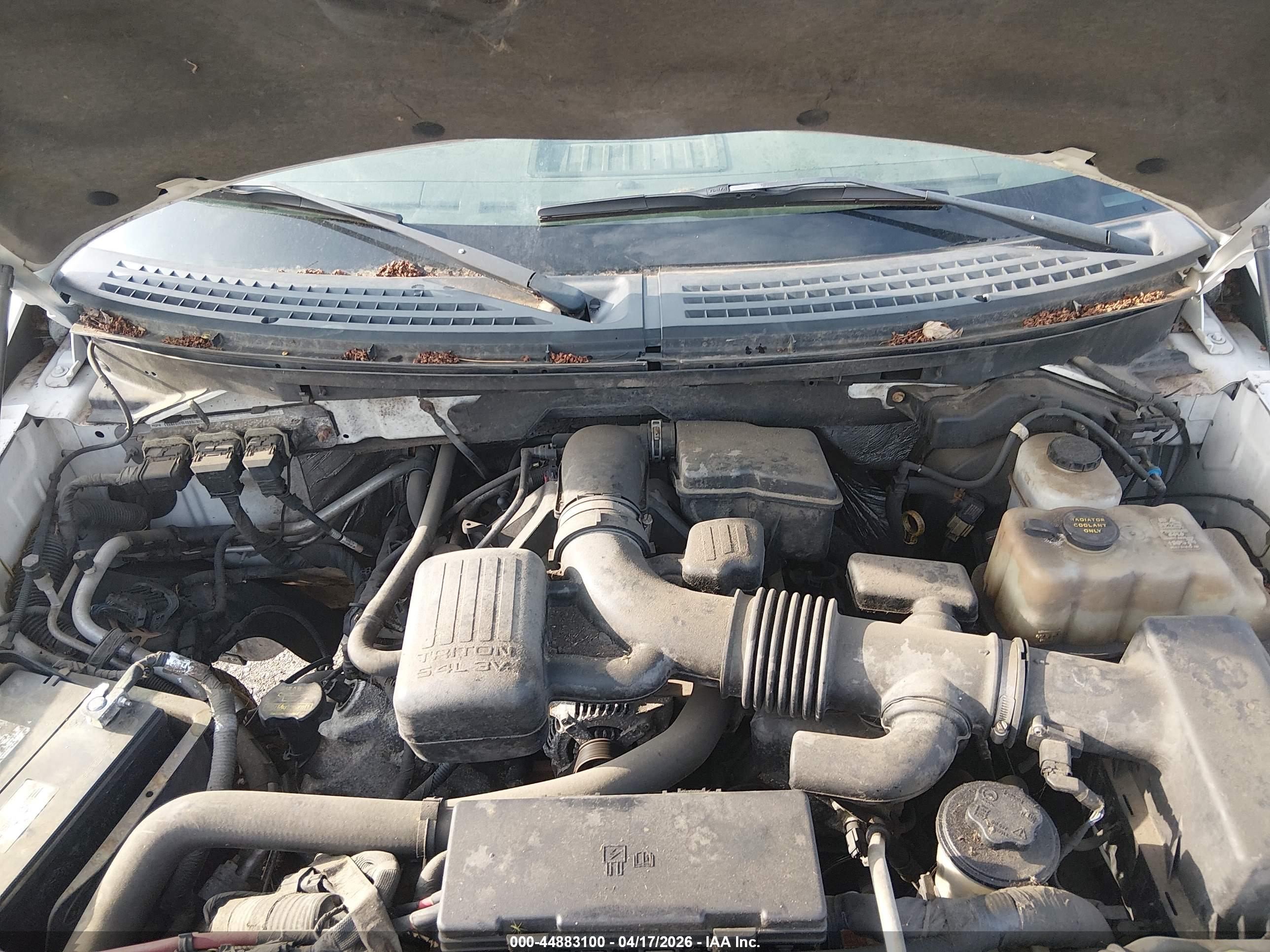 FORD F-150 image 10