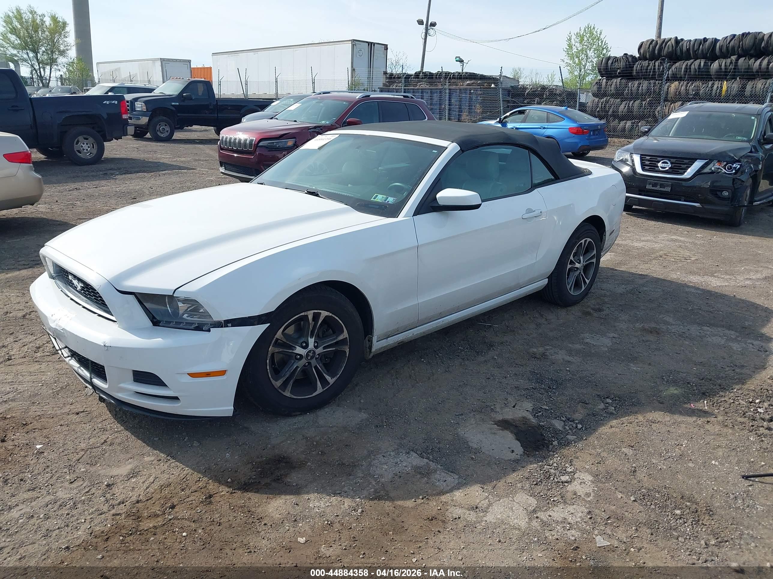FORD MUSTANG image 2