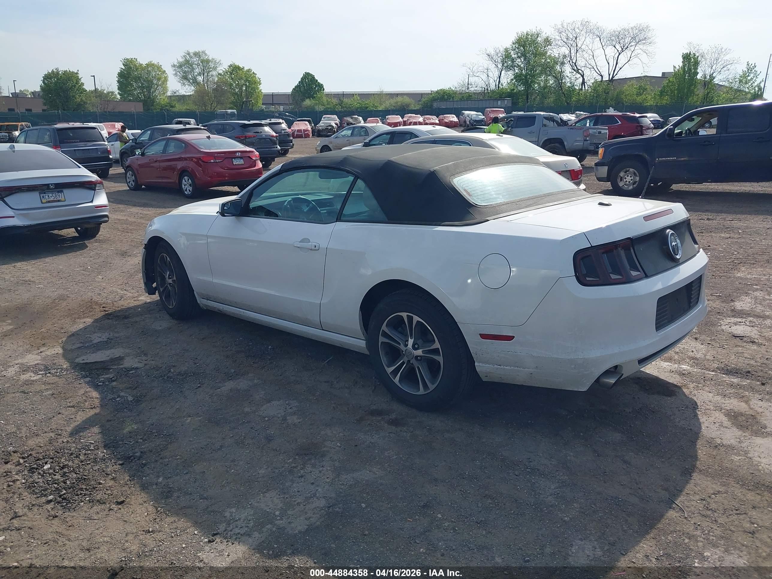 FORD MUSTANG image 3