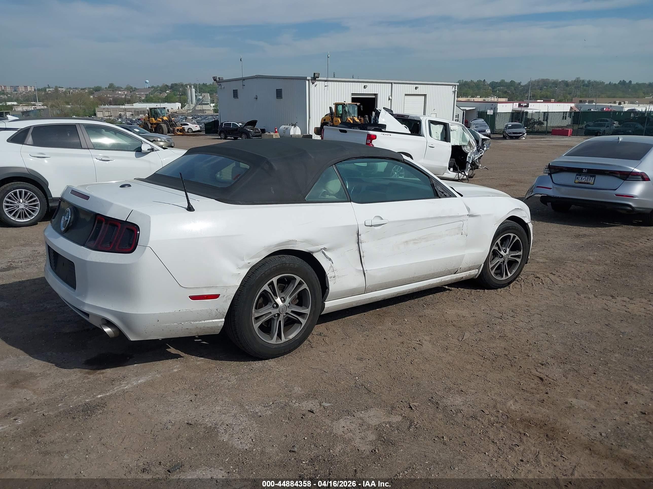 FORD MUSTANG image 4
