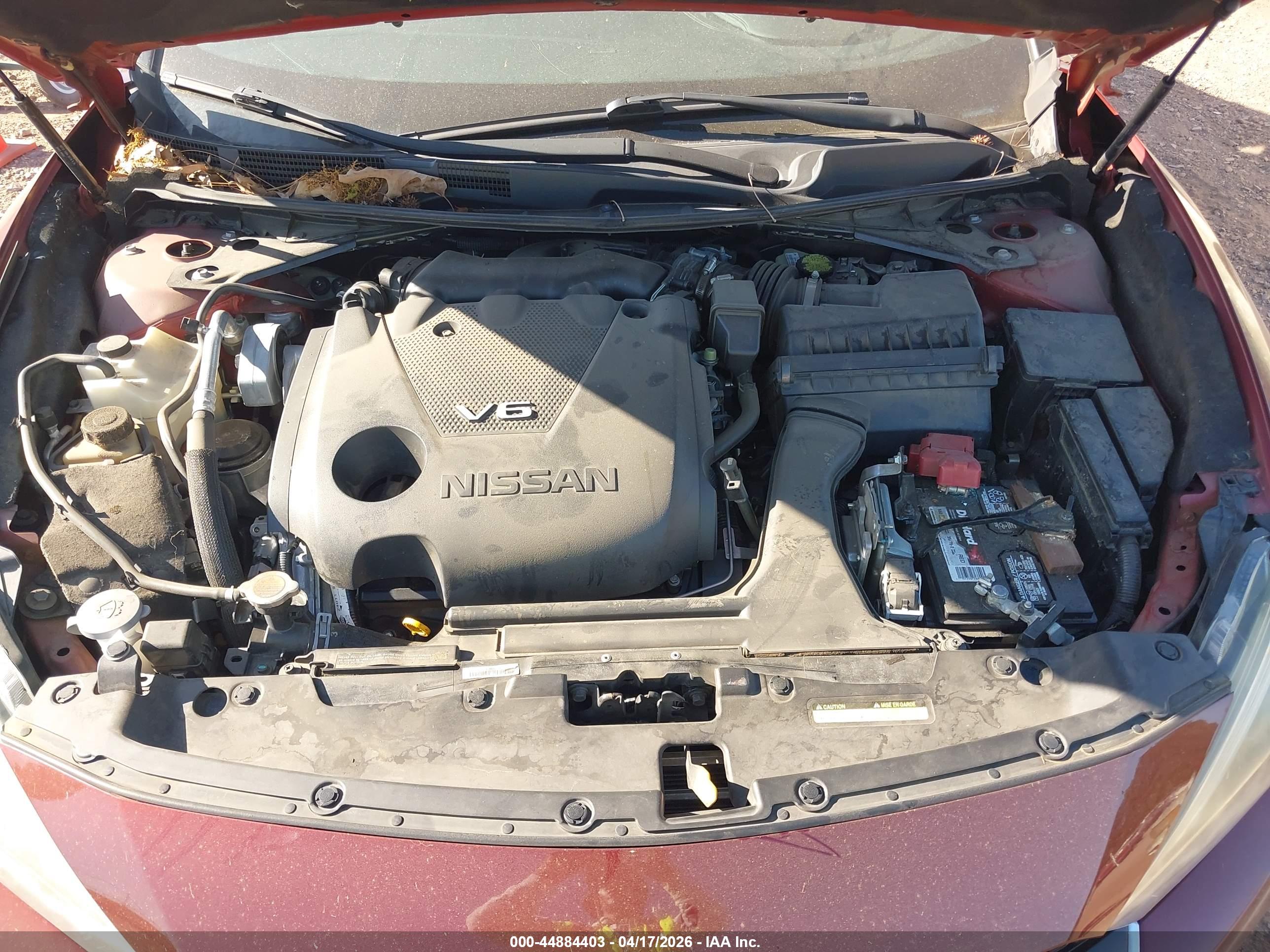 NISSAN MAXIMA image 10