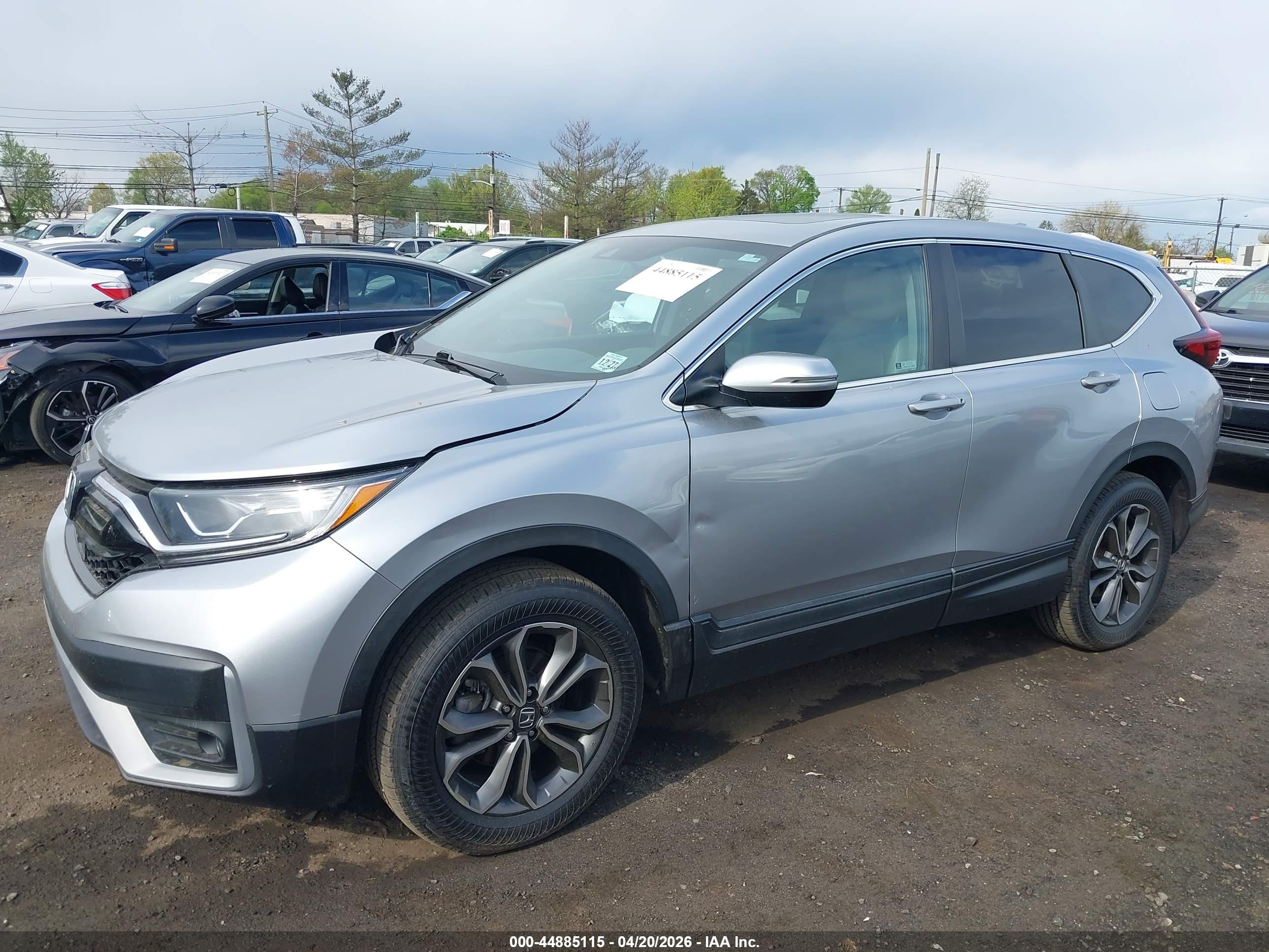 HONDA CR-V image 6
