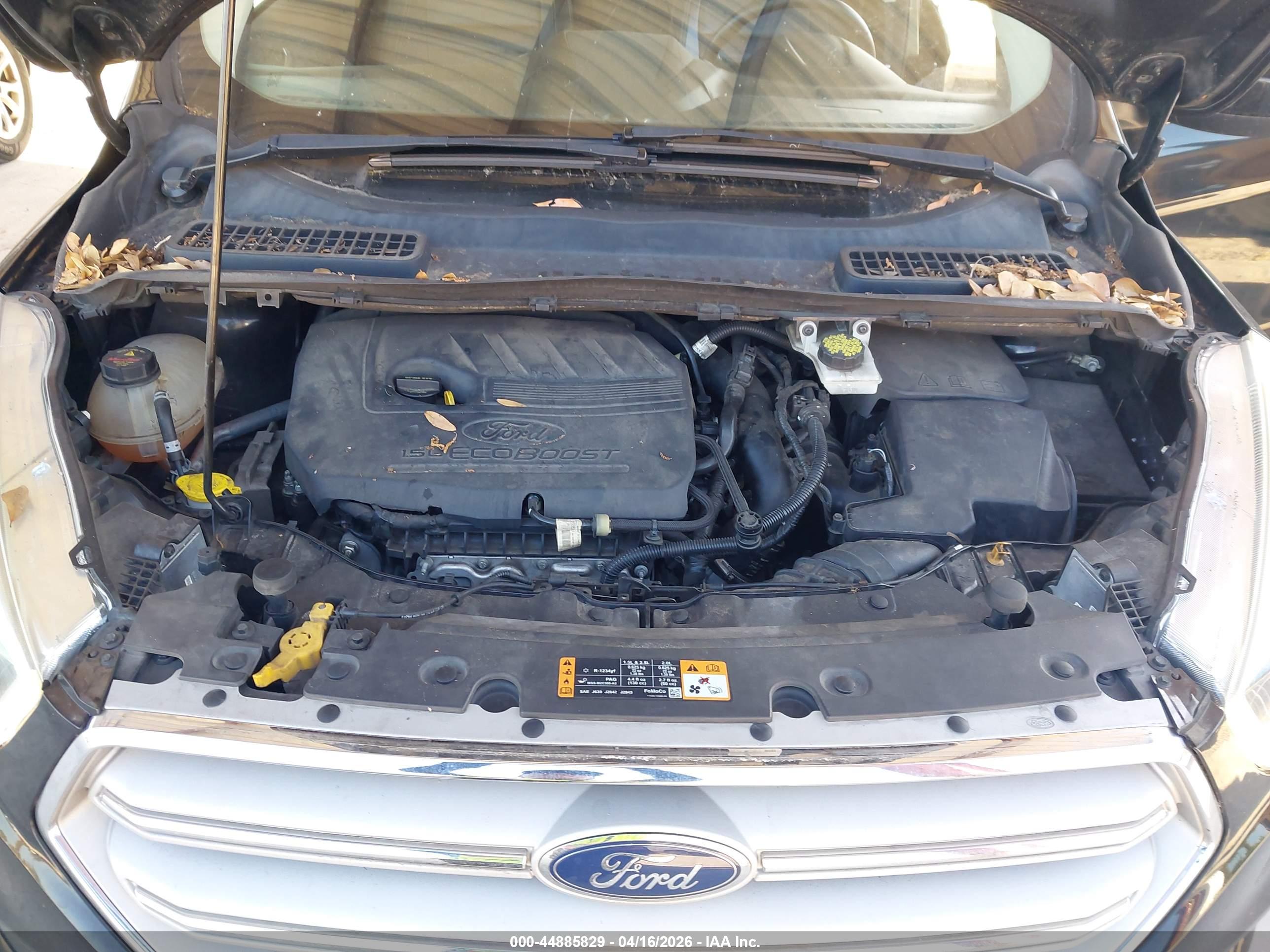 FORD ESCAPE image 10