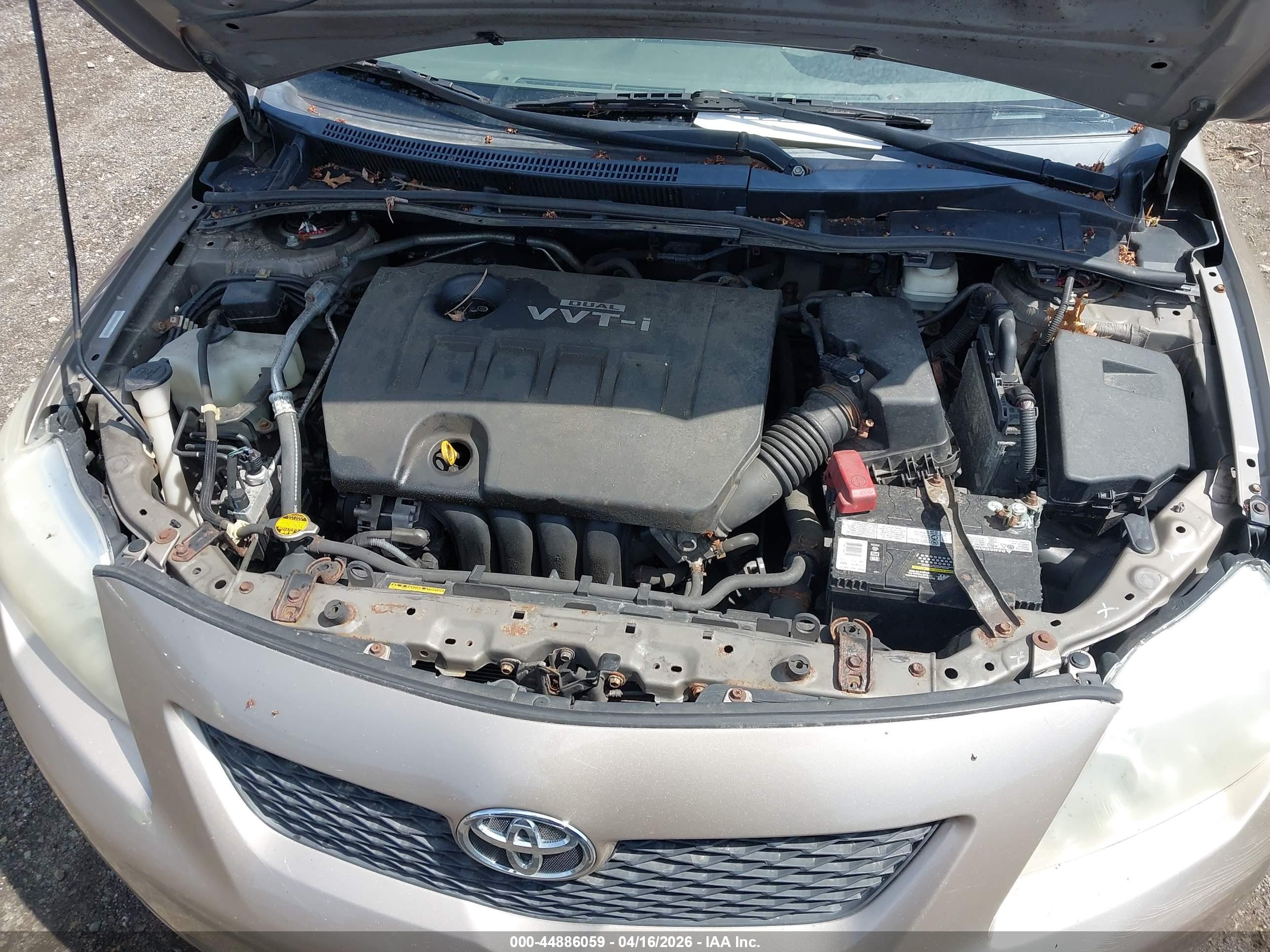 TOYOTA COROLLA image 10