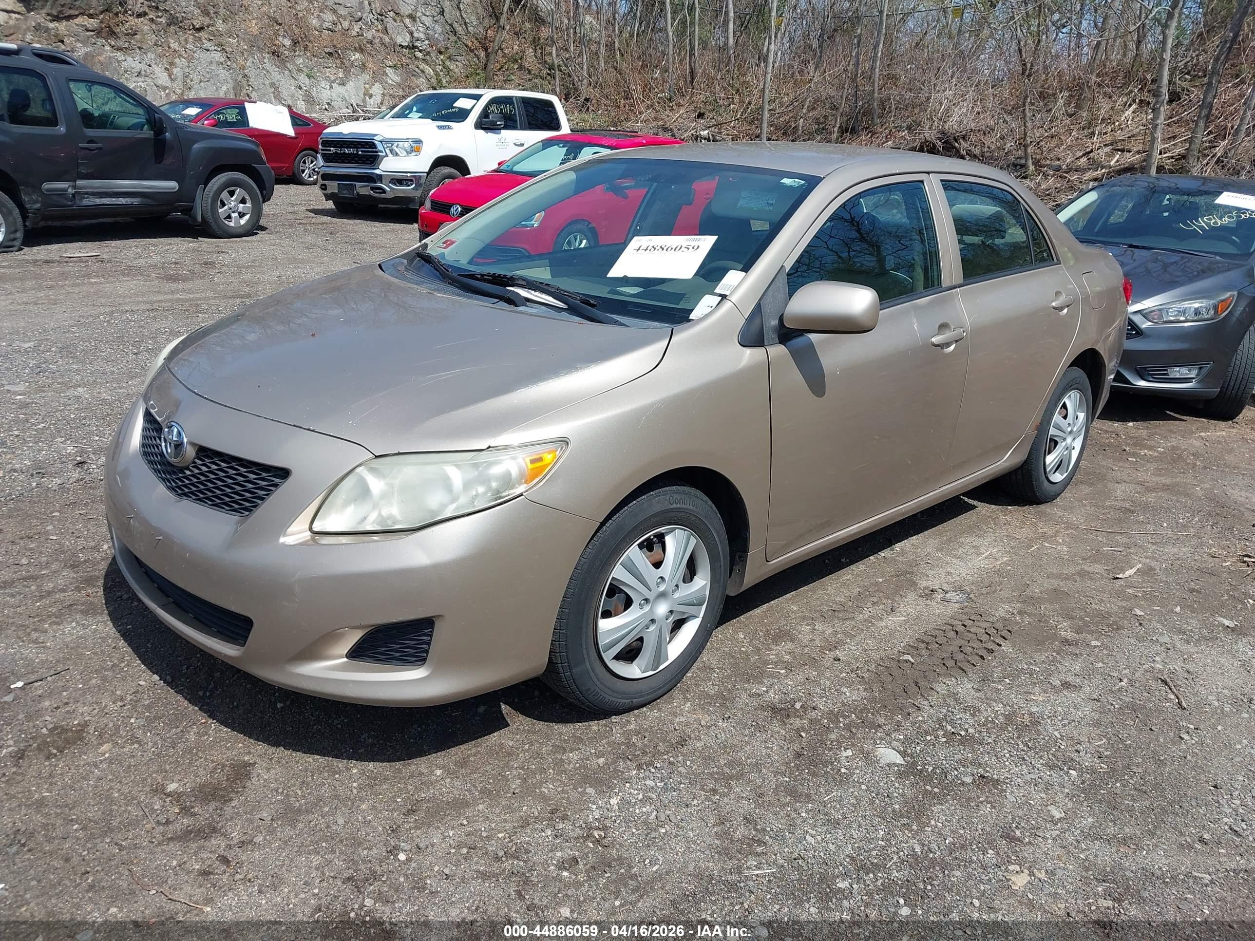 TOYOTA COROLLA image 2
