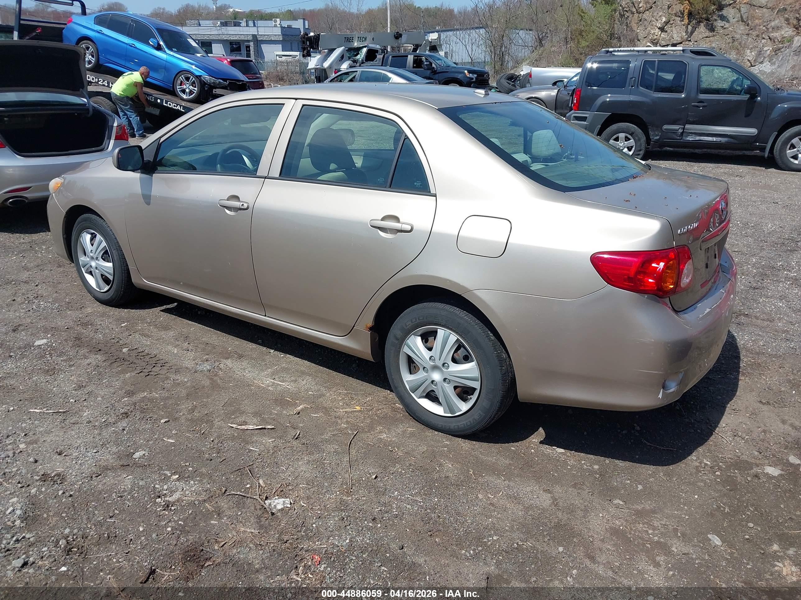 TOYOTA COROLLA image 3