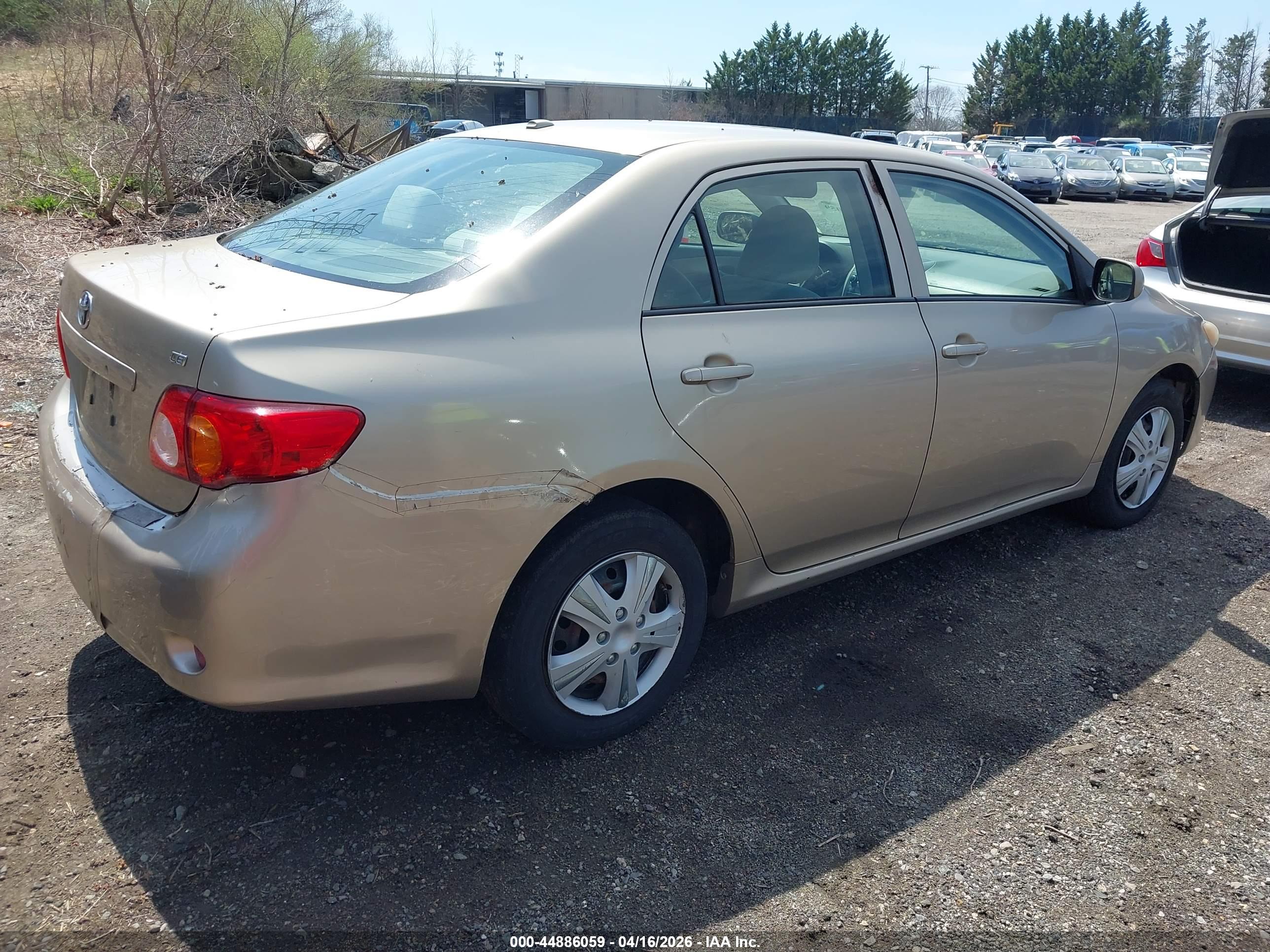 TOYOTA COROLLA image 4