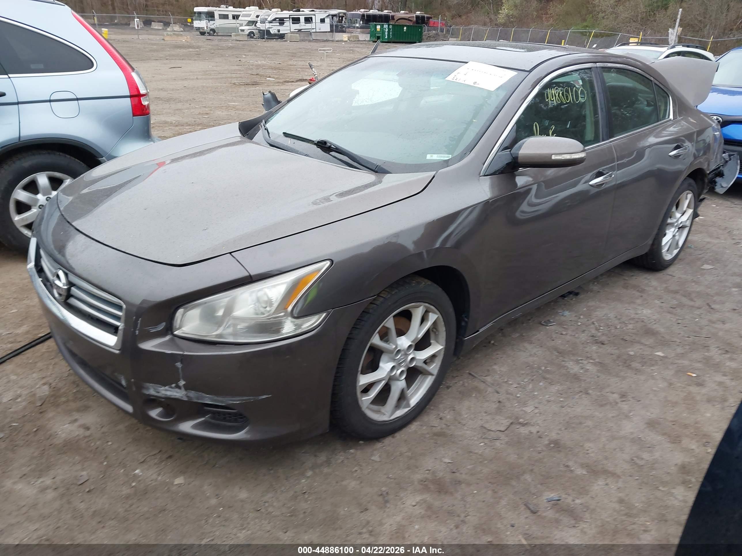 NISSAN MAXIMA image 2