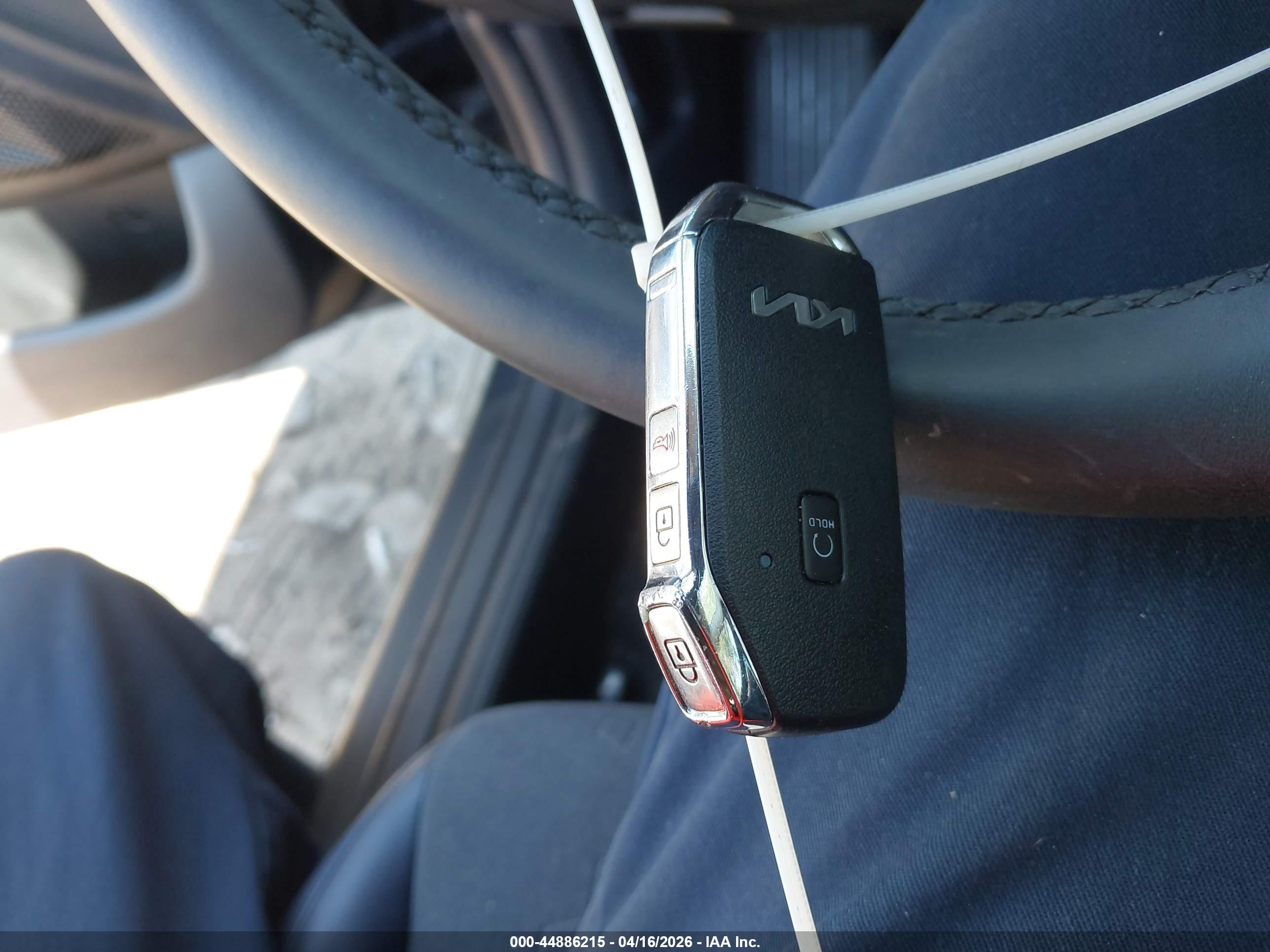 KIA SELTOS image 11