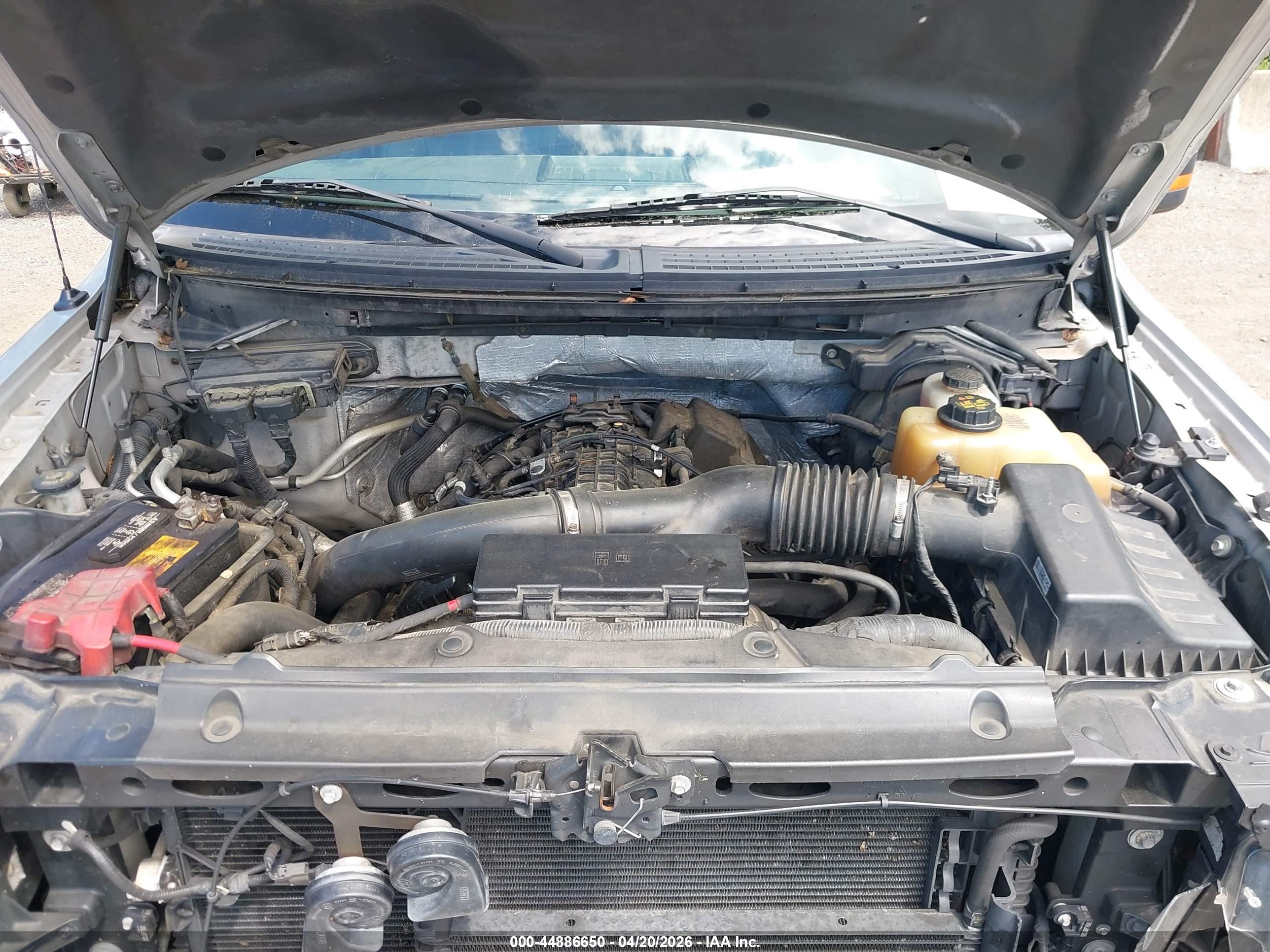 FORD F-150 image 10