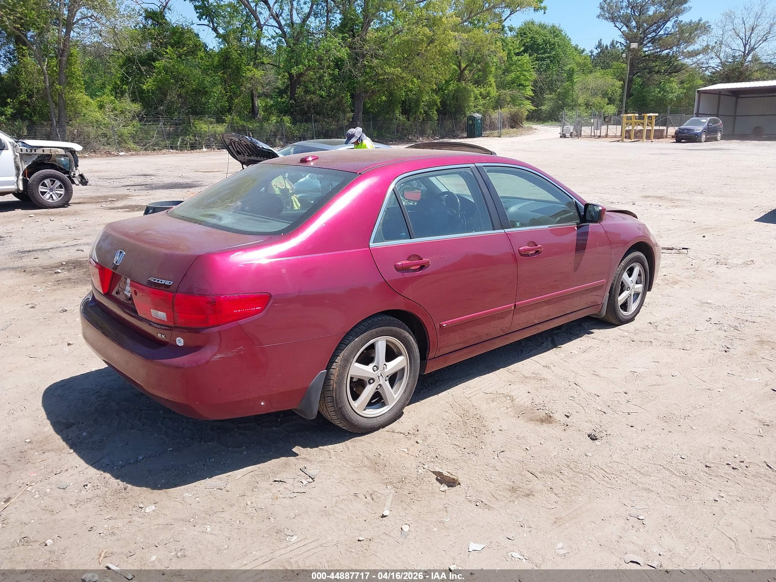 HONDA ACCORD image 4