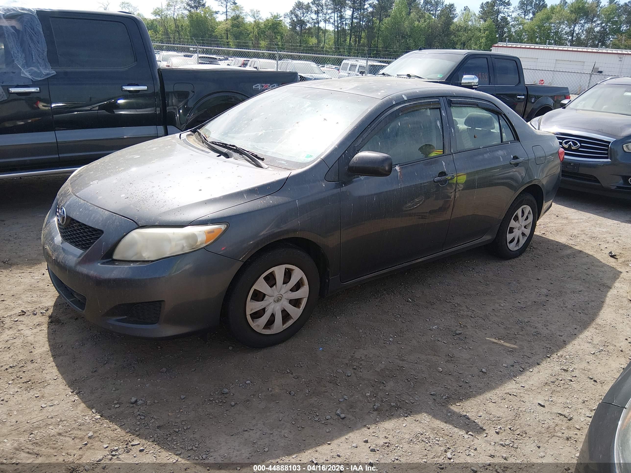 TOYOTA COROLLA image 2