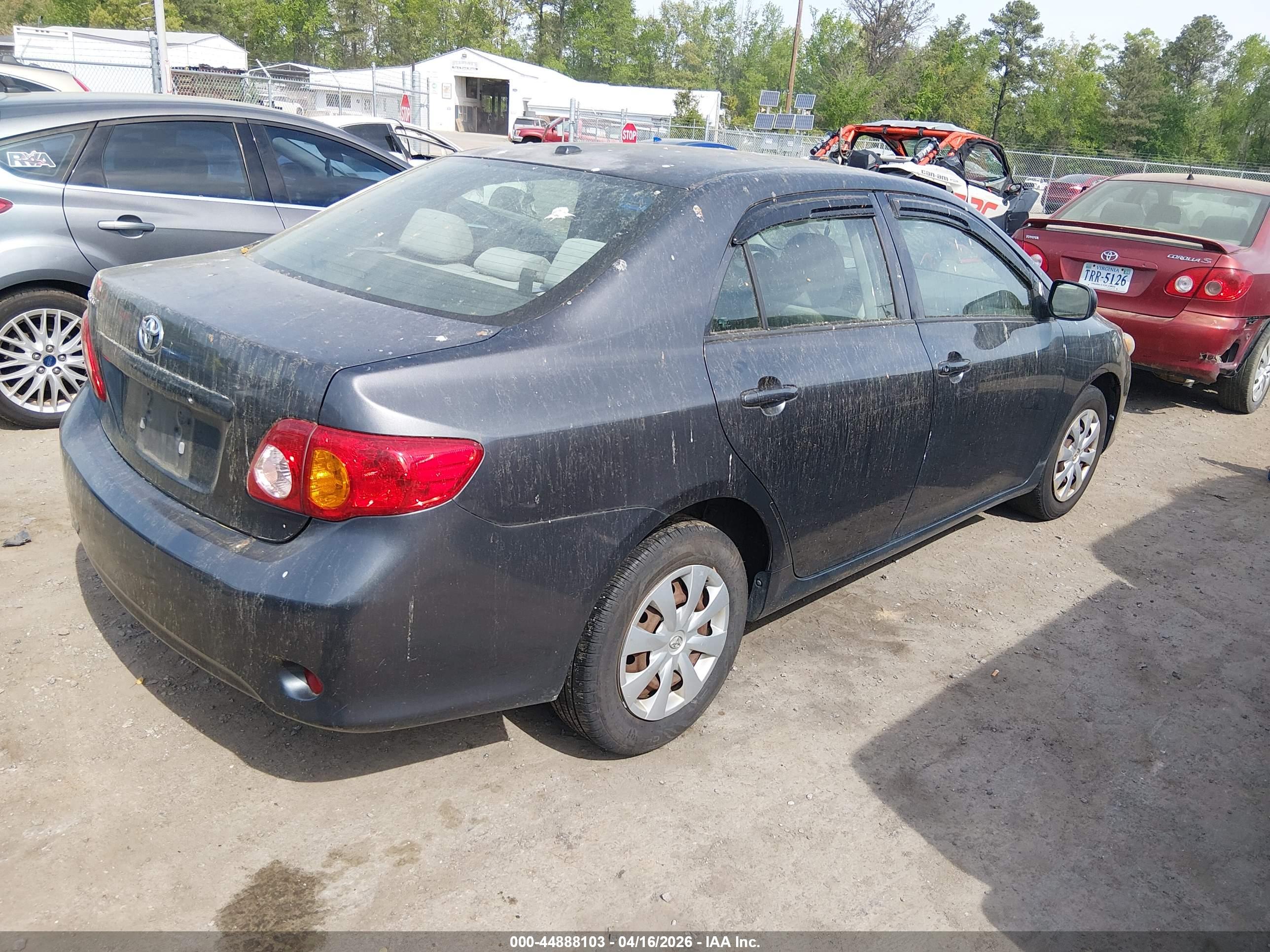 TOYOTA COROLLA image 4