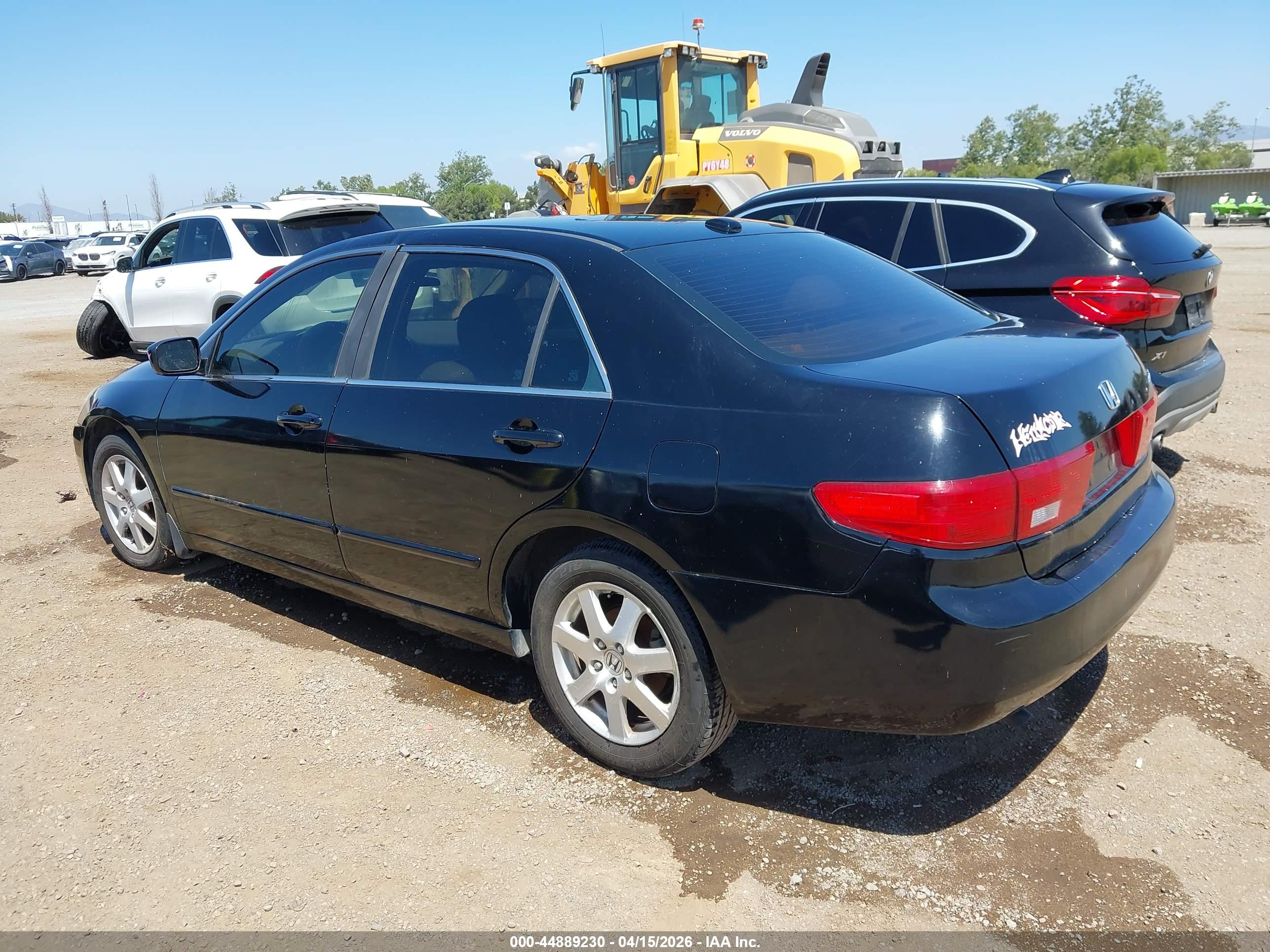 HONDA ACCORD image 3