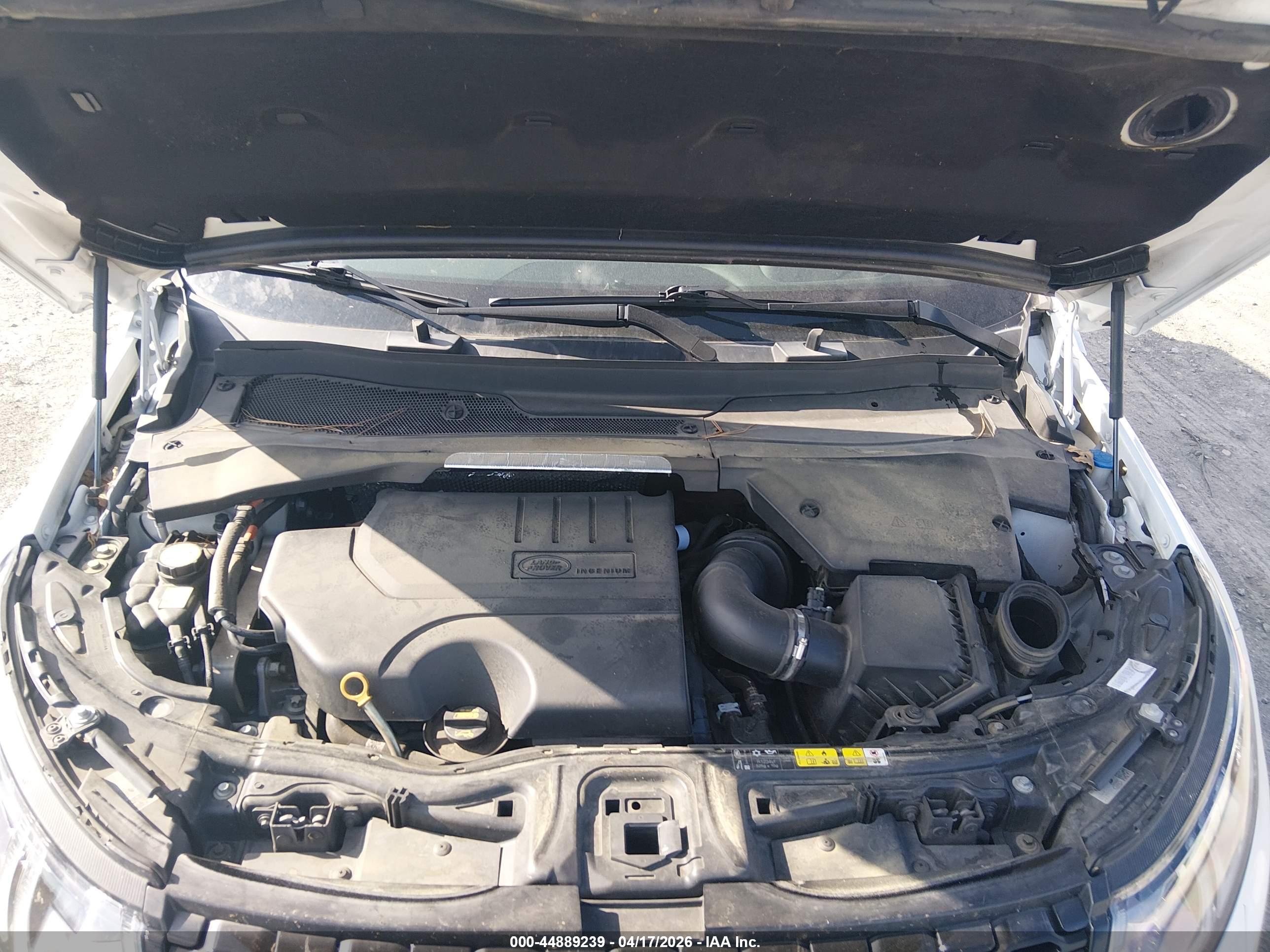LAND ROVER image 10